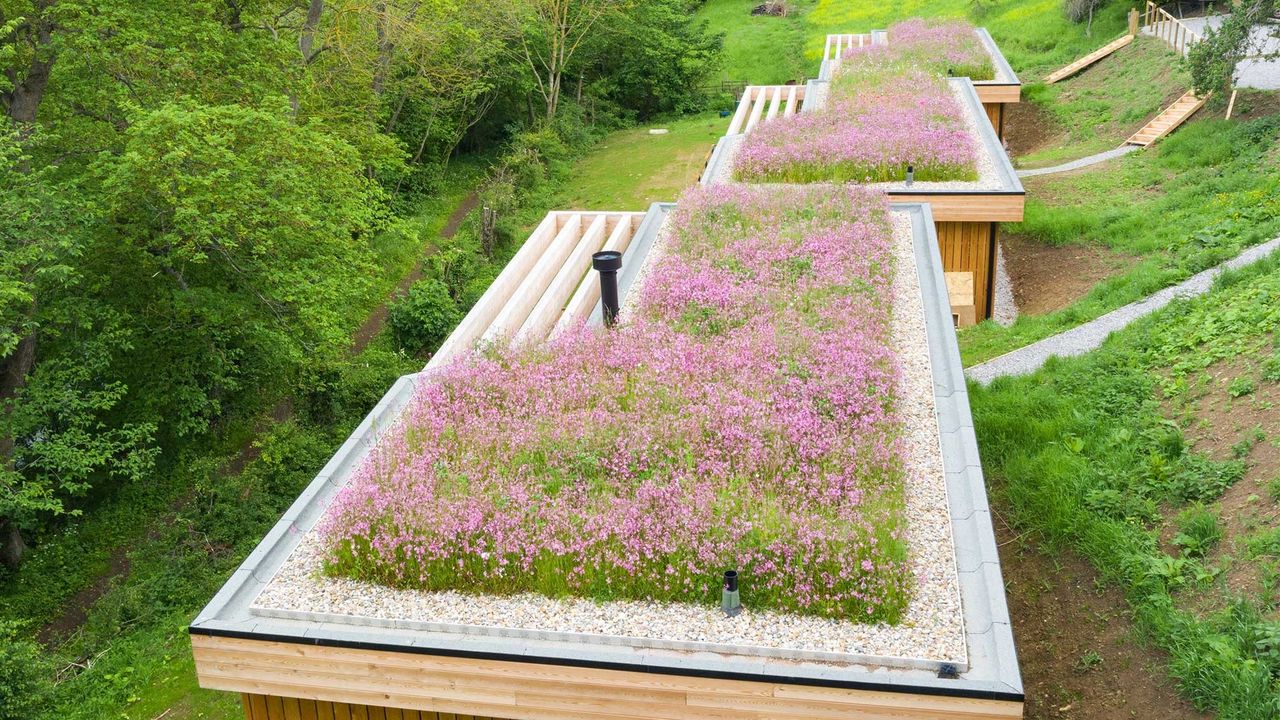 Bauder Roof