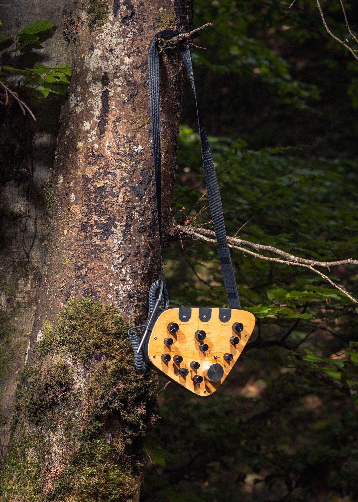 Subterraneum - Mathis Baltisberger