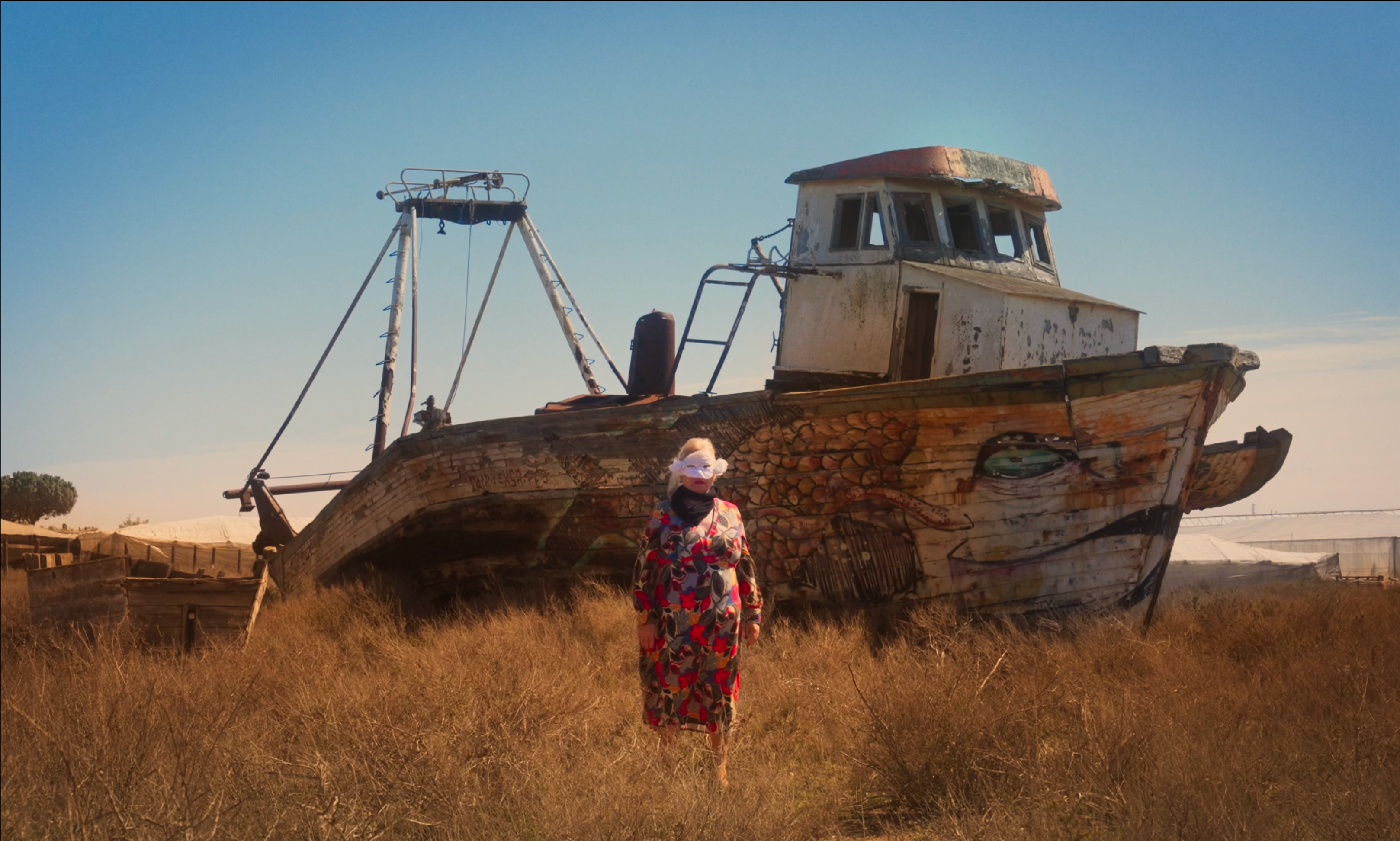 No veía los colores