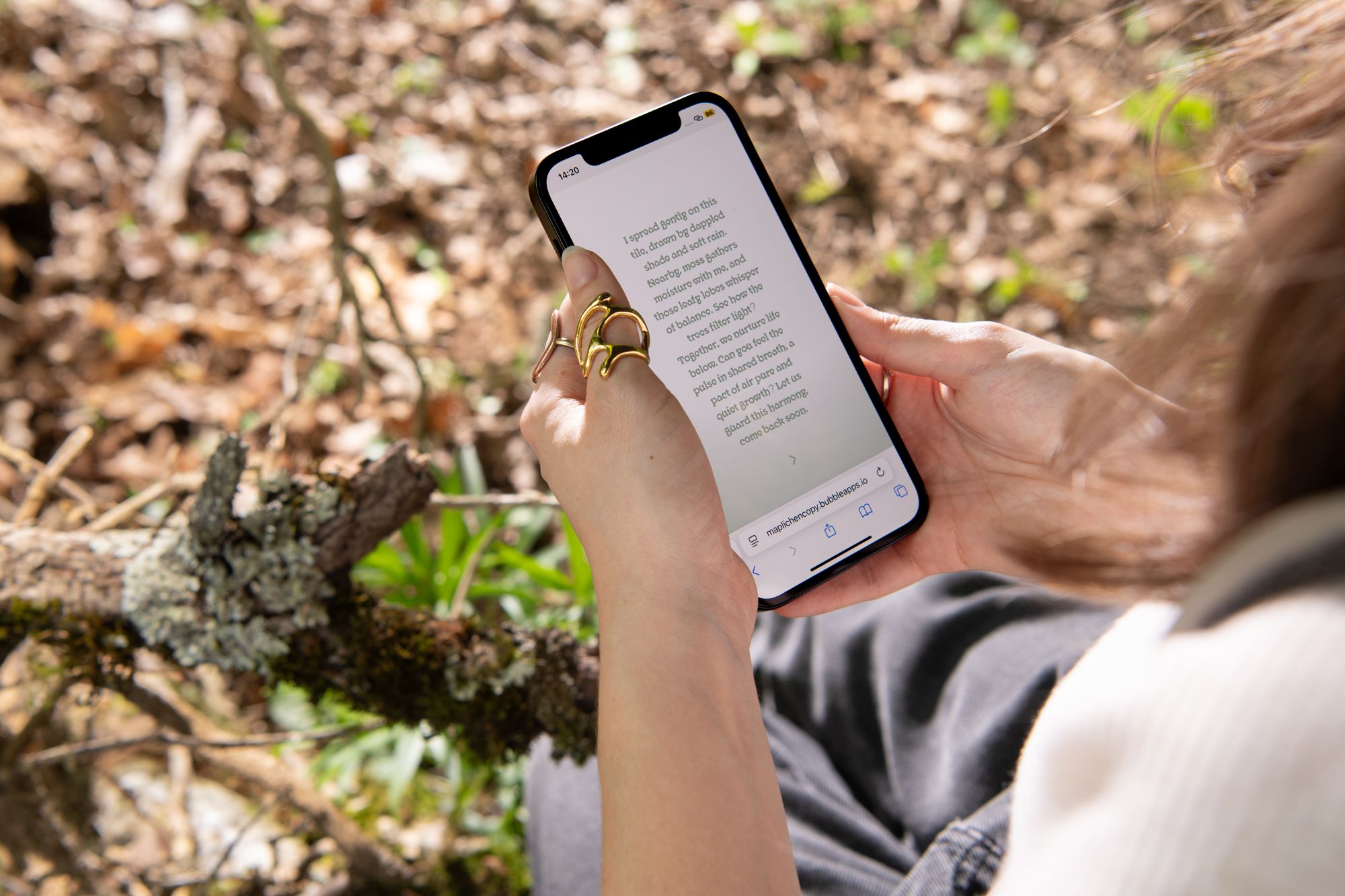 Invisible Allies - Sarah Meylan