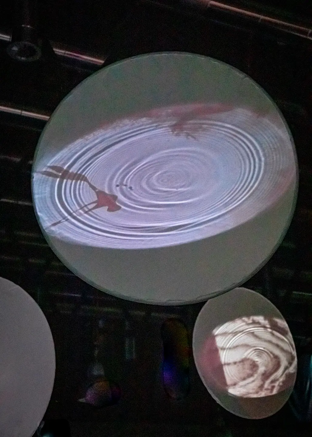 VOYAGER - Gabriela Luchetta Dos Santos