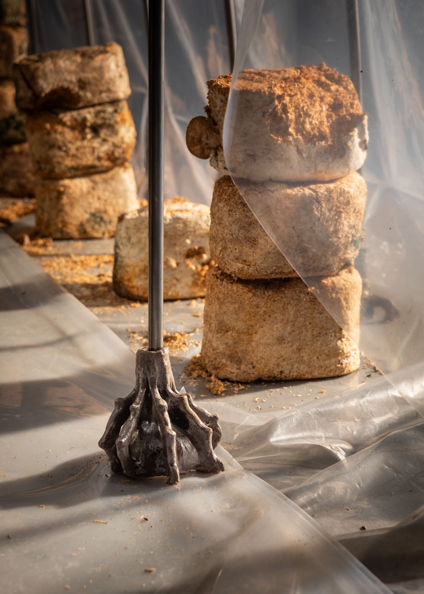 Toutes les bestioles façonnent une chair commune - Lou Revel