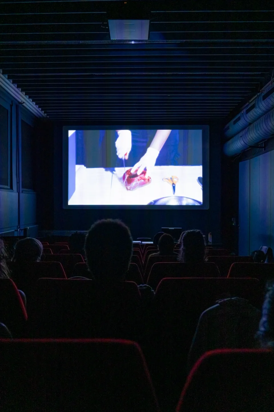 La charge oxydée - Savannah Mamie