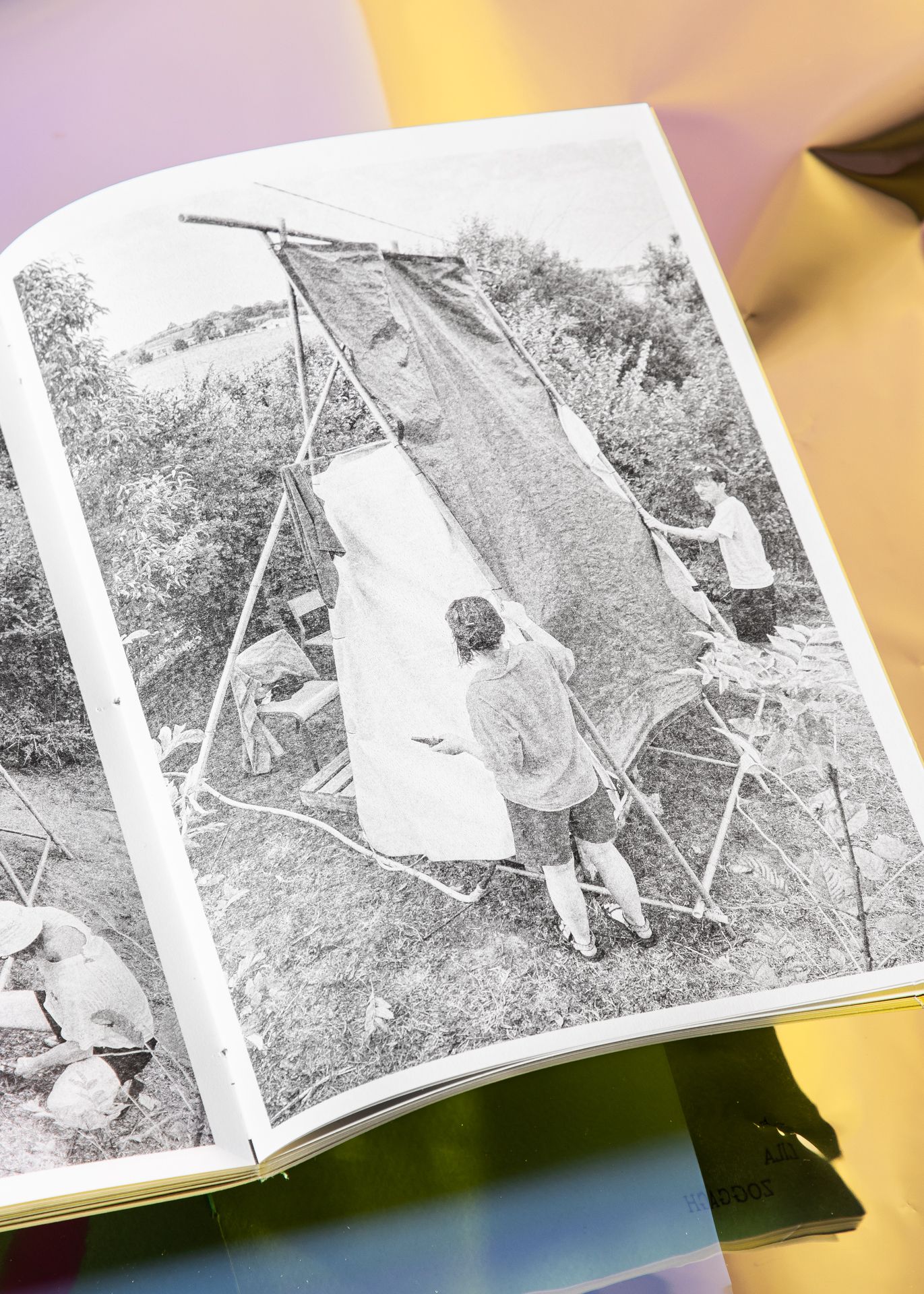 La Buscaille - Lila Zoggagh