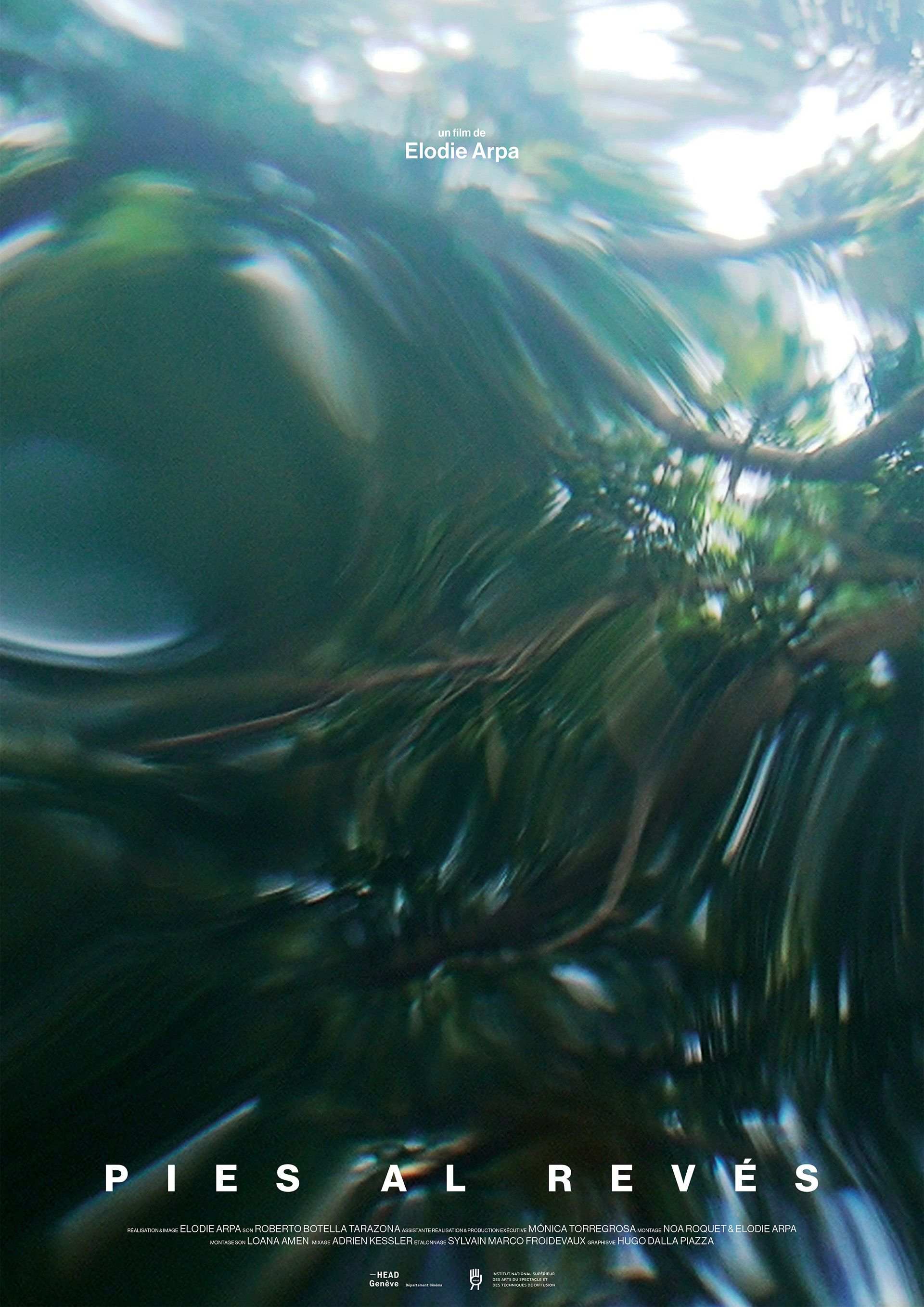 Pies al revés - Elodie Arpa