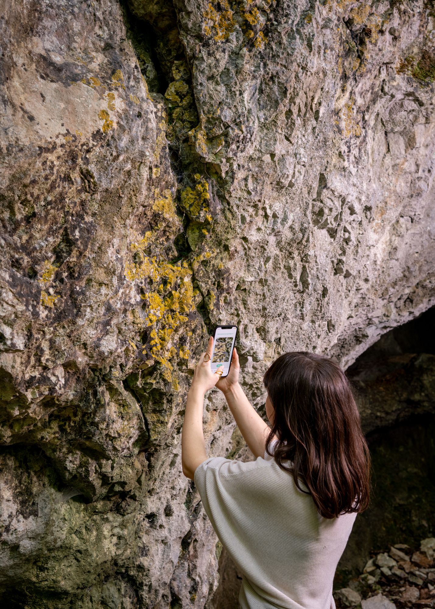 Invisible Allies - Sarah Meylan