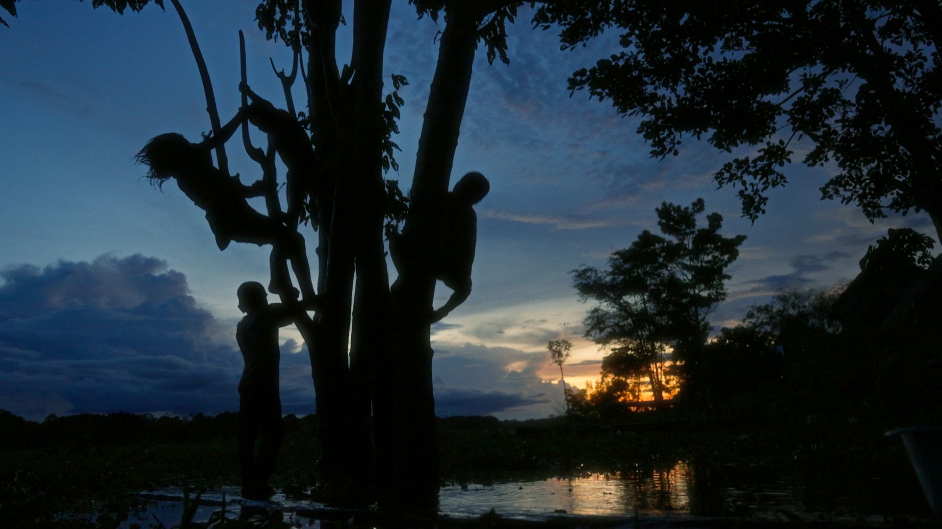 Pies al revés - Elodie Arpa