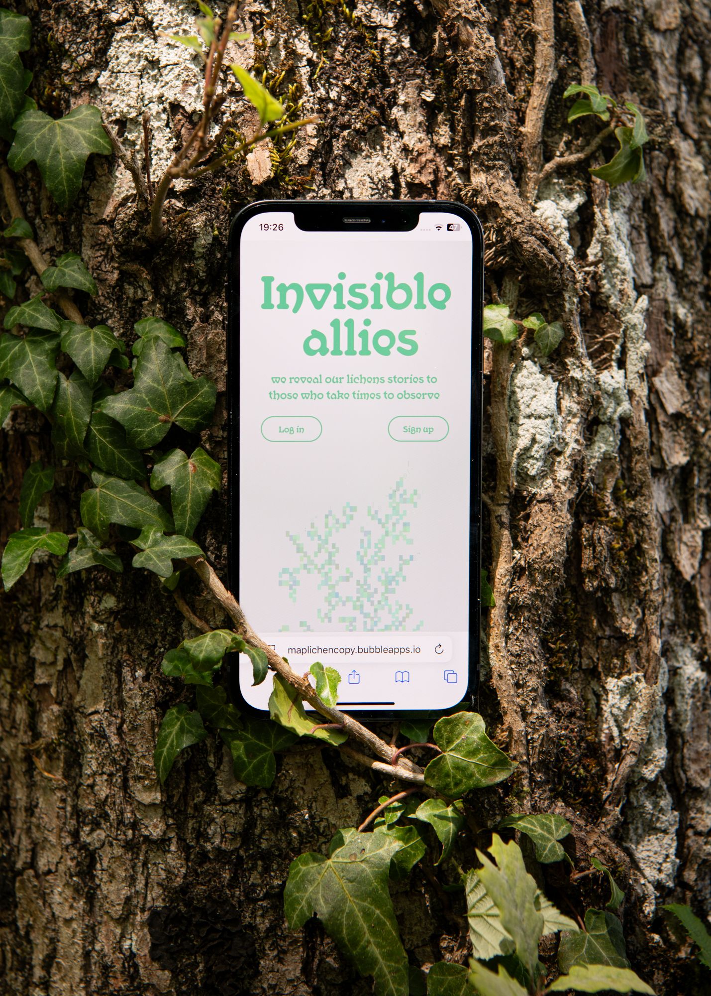 Invisible Allies - Sarah Meylan