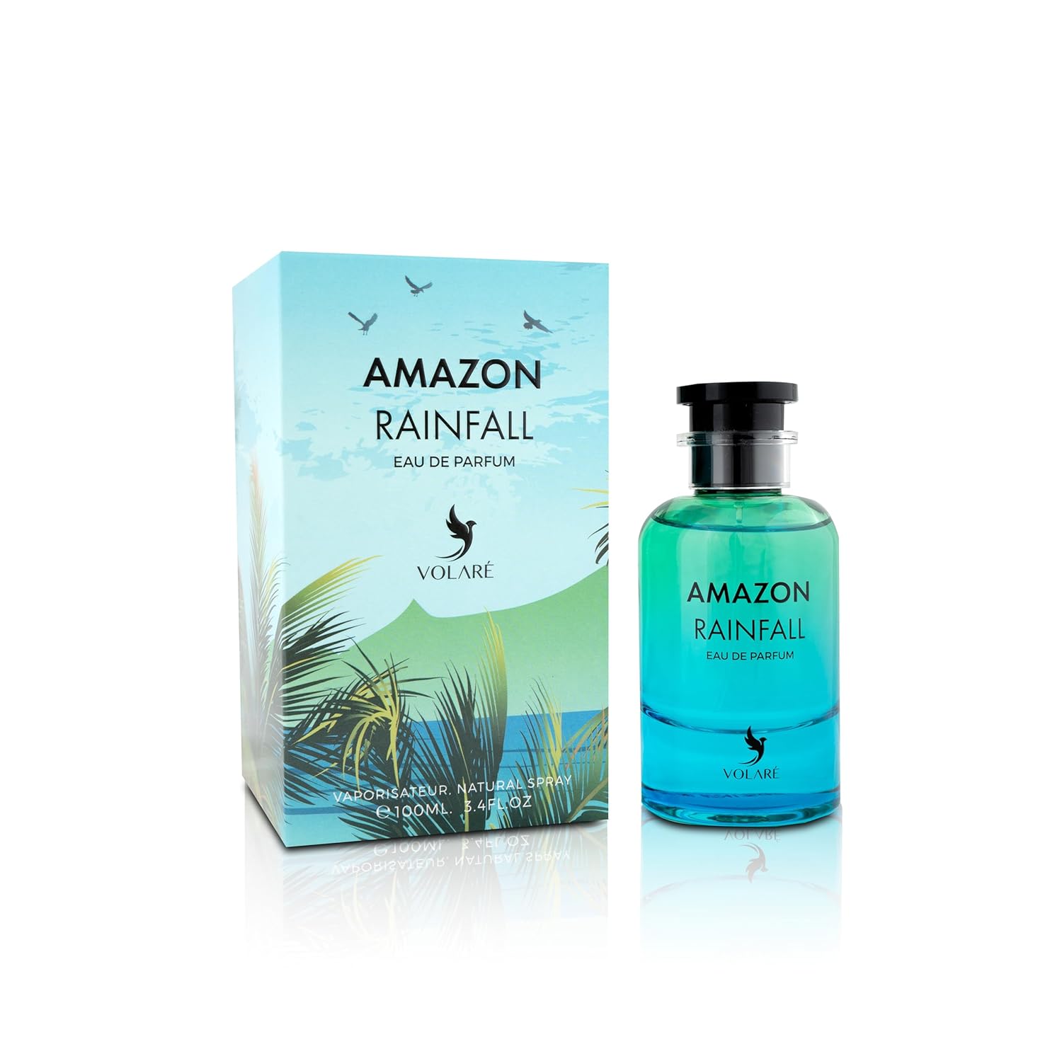 Amazon Rainfall - Main View