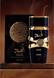 Asad  - View 2
