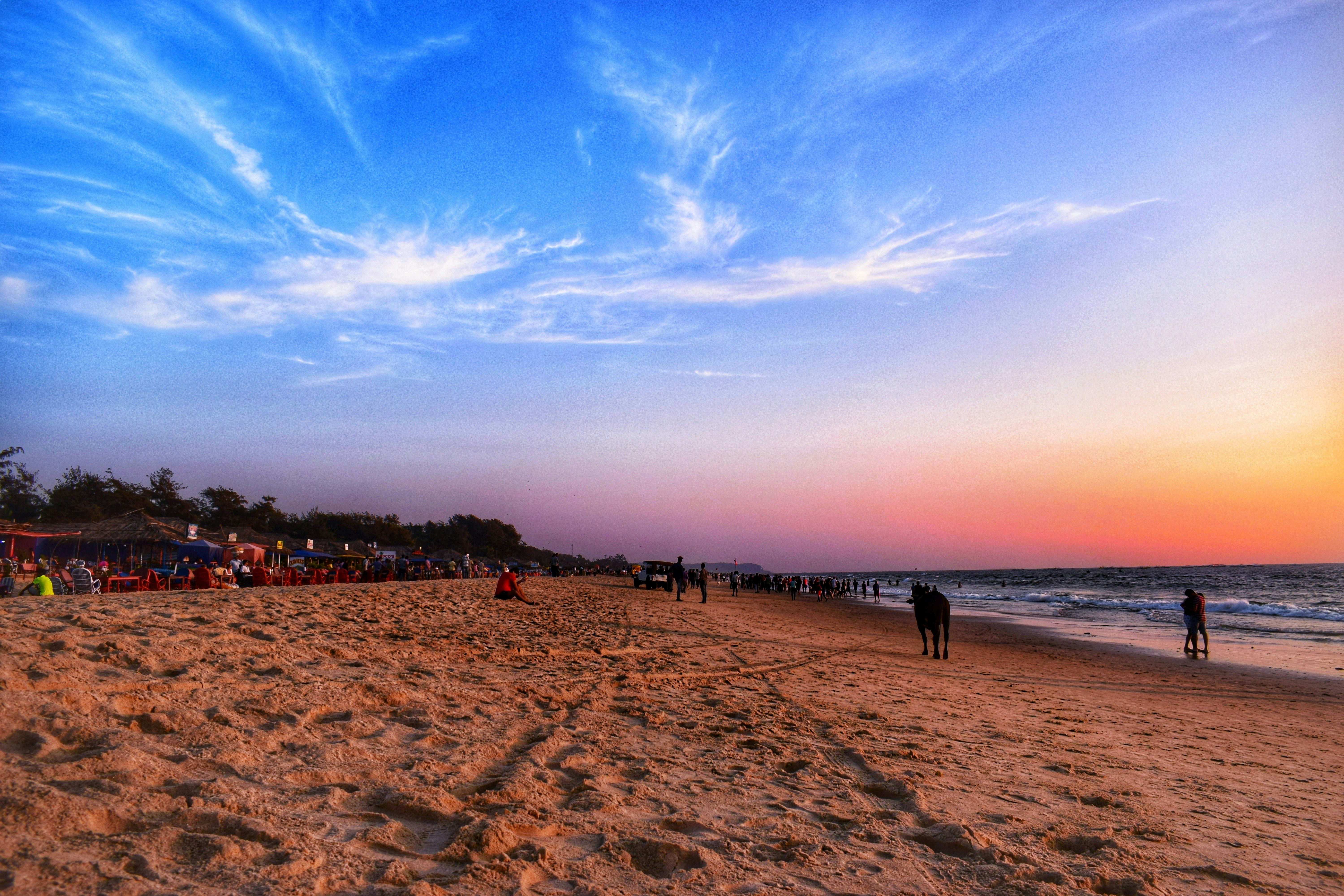 best-things-to-do-in-south-goa