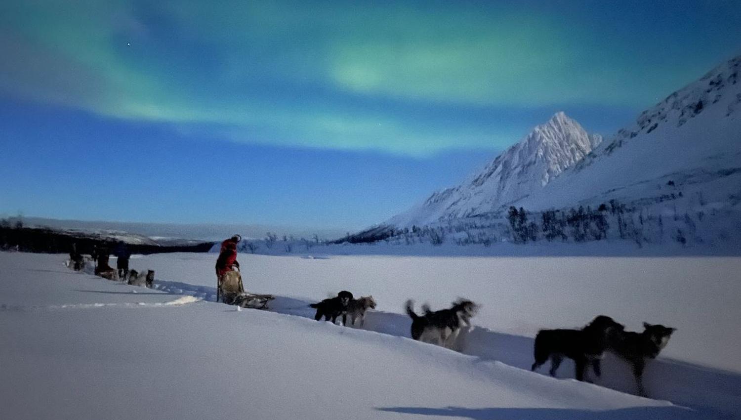 Lyngen Husky Safari