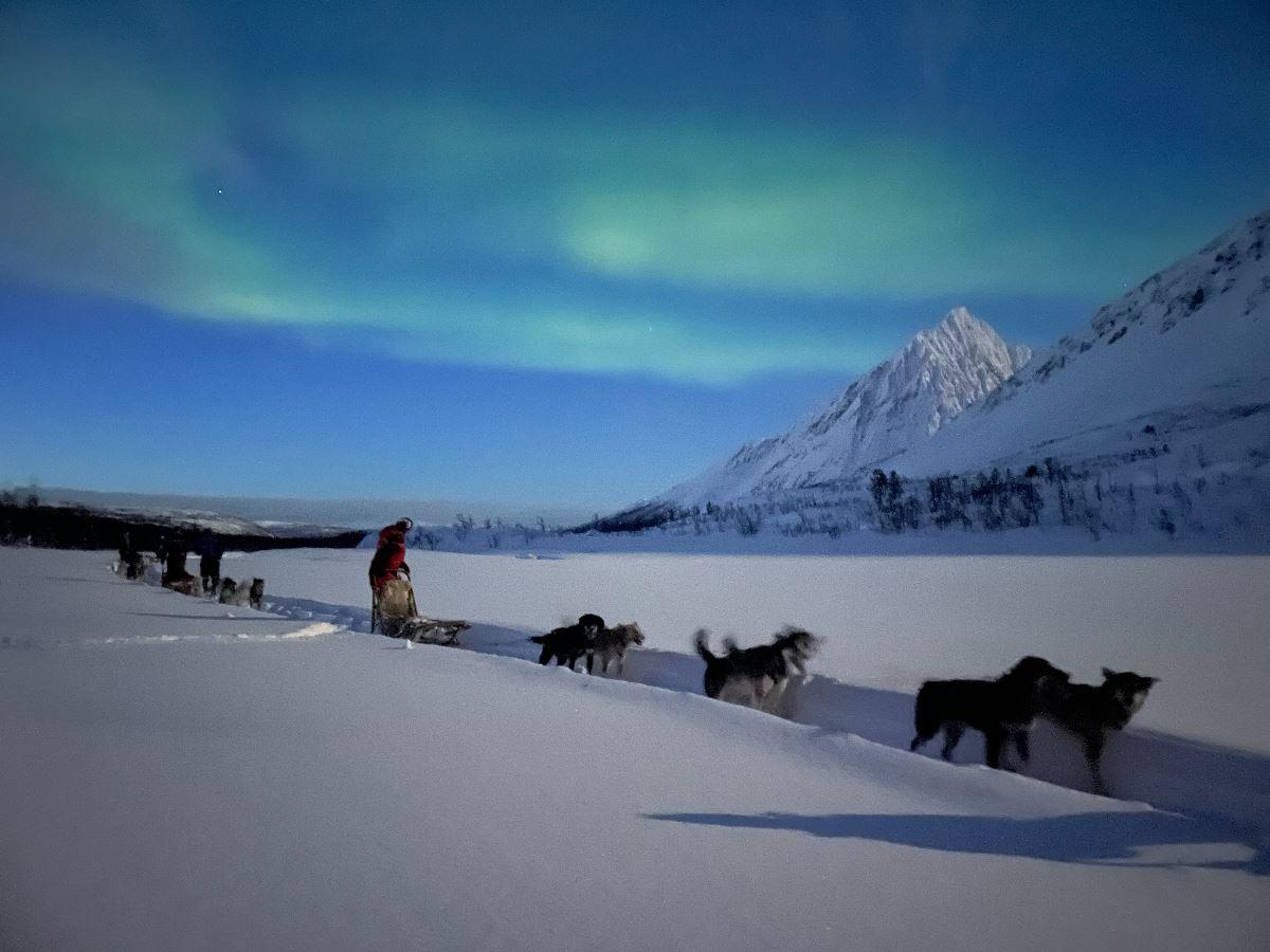 Lyngen Husky Safari