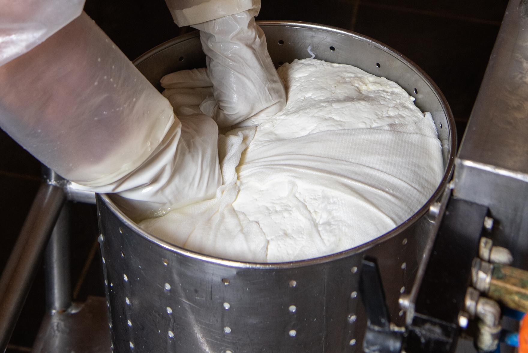 laging av ost Fotograf Jacobsen