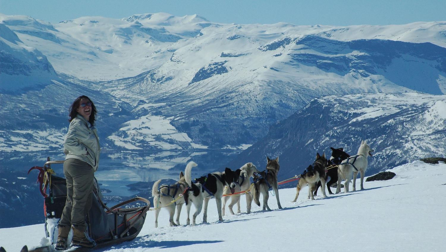 Hundespann, hundekjøring i Norge, Oppland, Valdres, Øystre Slidre, Jotunheimen, familieaktivitet, gruppeaktivitet, vintersesong, vinteraktivitet, hund, slede, dagstur, dagsturer, tur over flere dager.