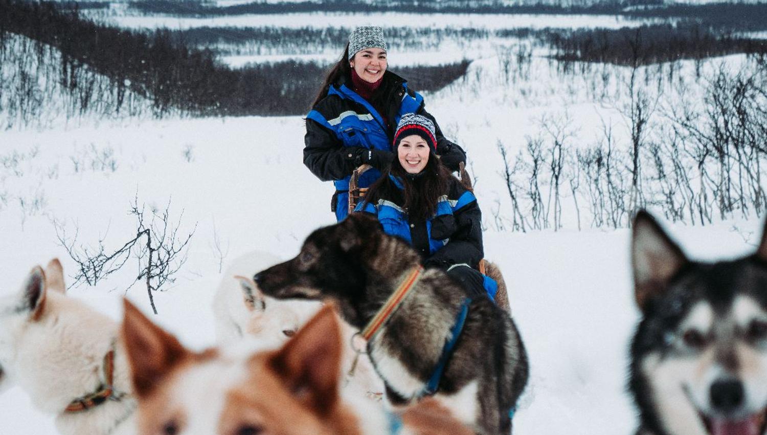 To gjester som kjører hundeslede med glade huskier