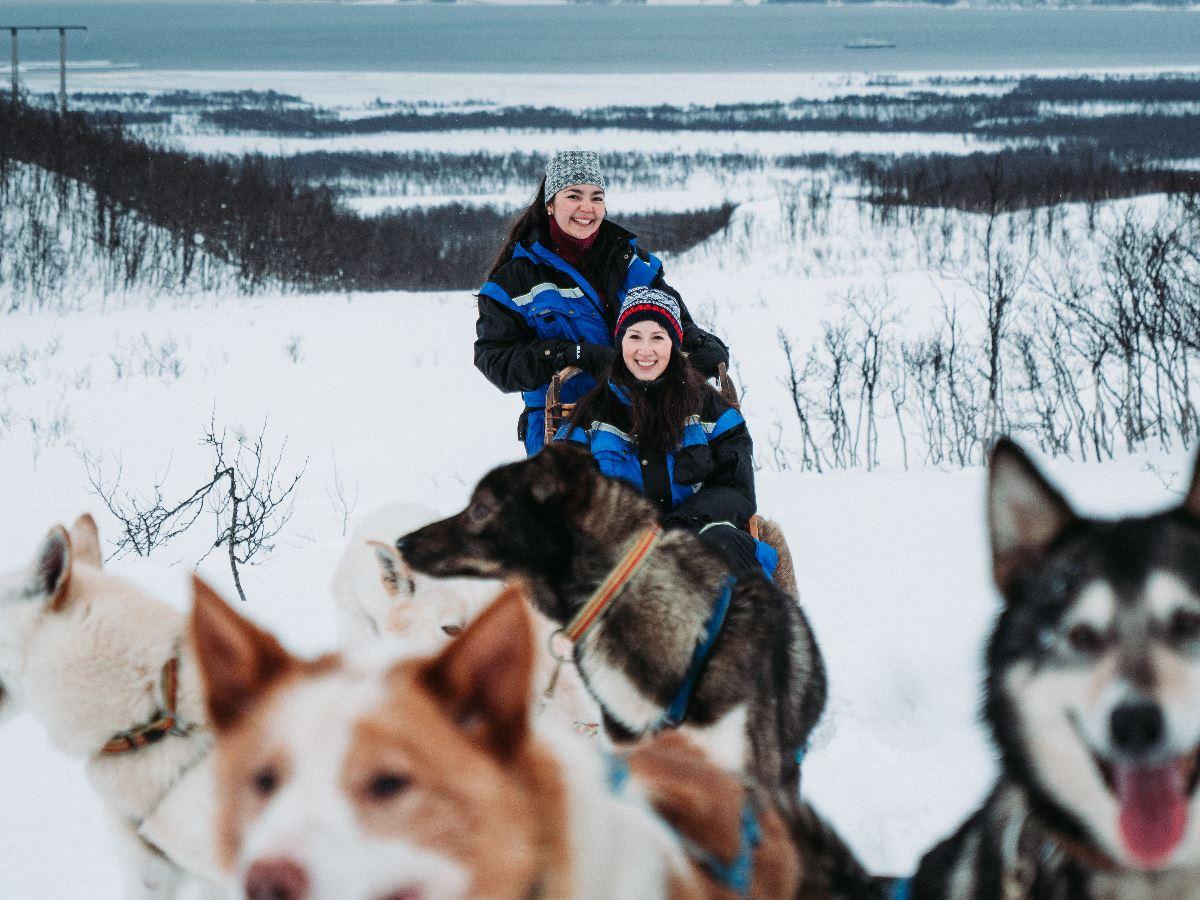 Two guests dog sledding with happy huskies