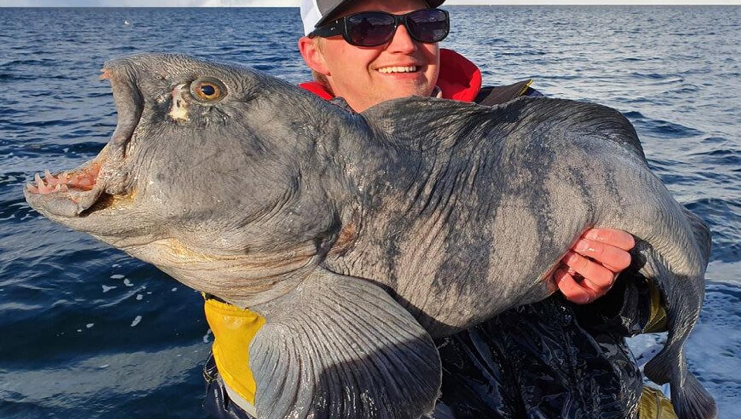 Man holding a cat fish on a fishing trip with Explore the Arctic