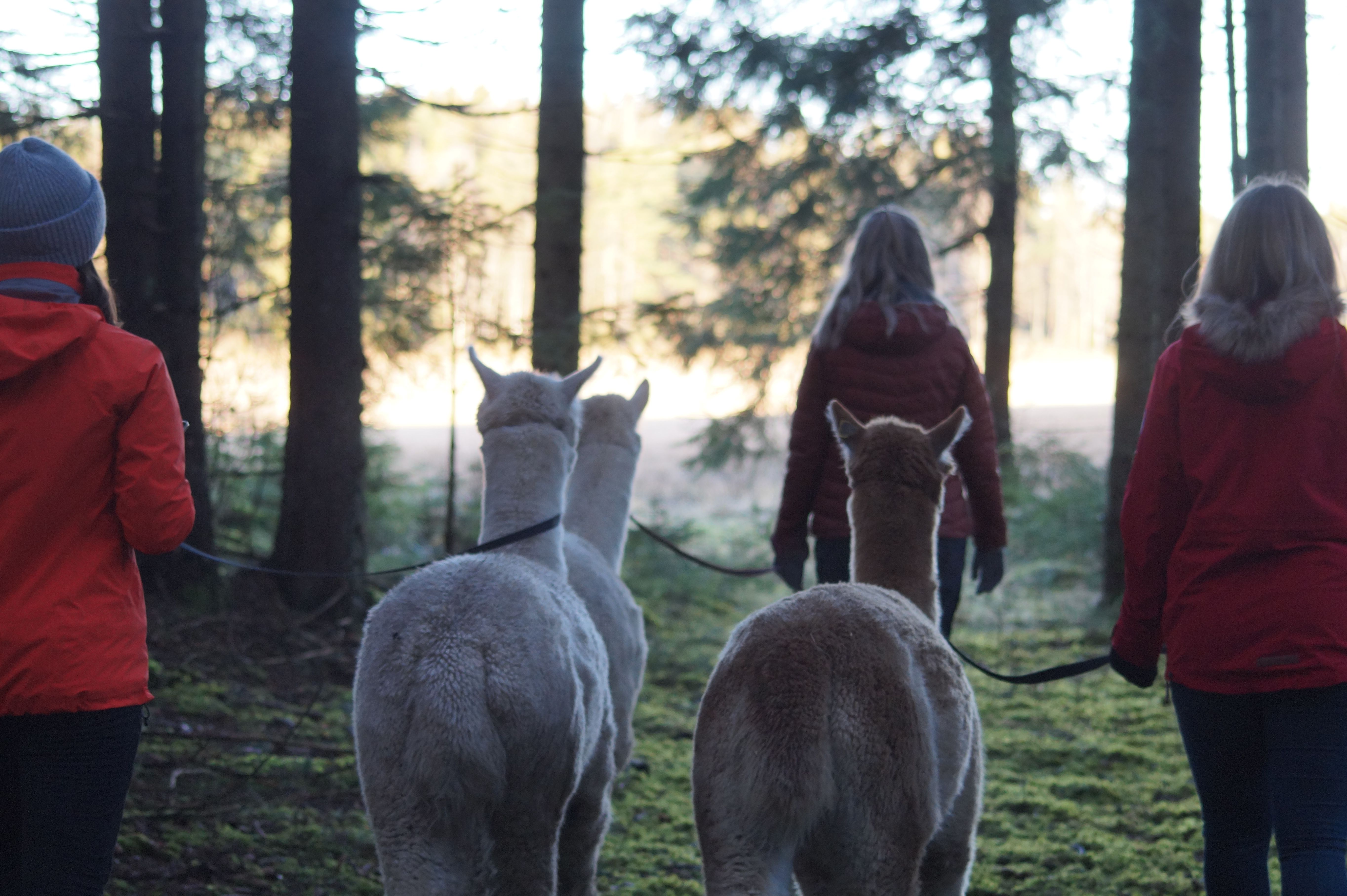 20200112_120145000_iOS