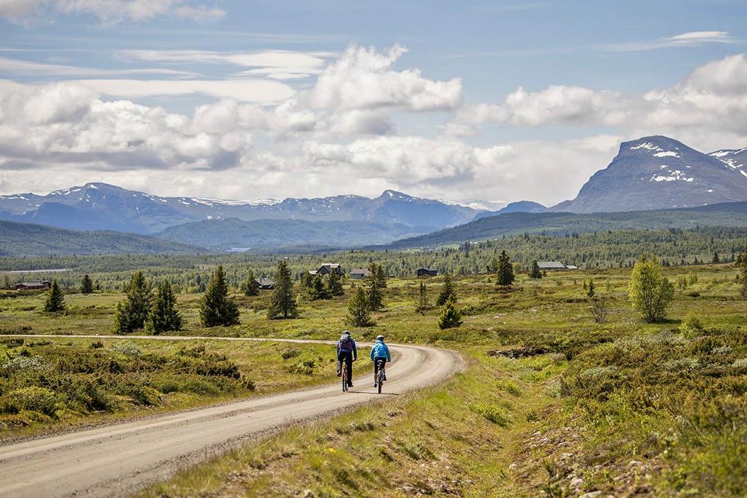 13 scenic bike rides | Go on a cycling holiday in Norway