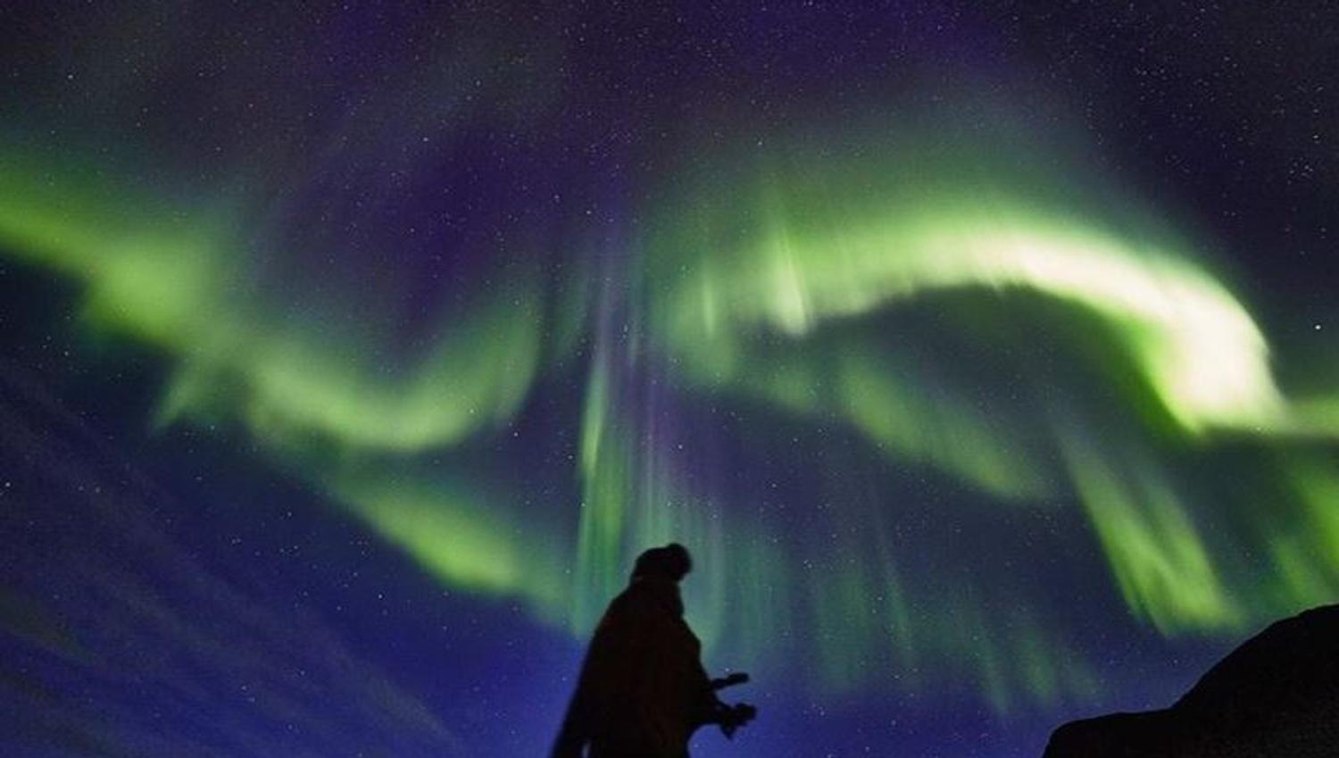 En gjest under nordlyset