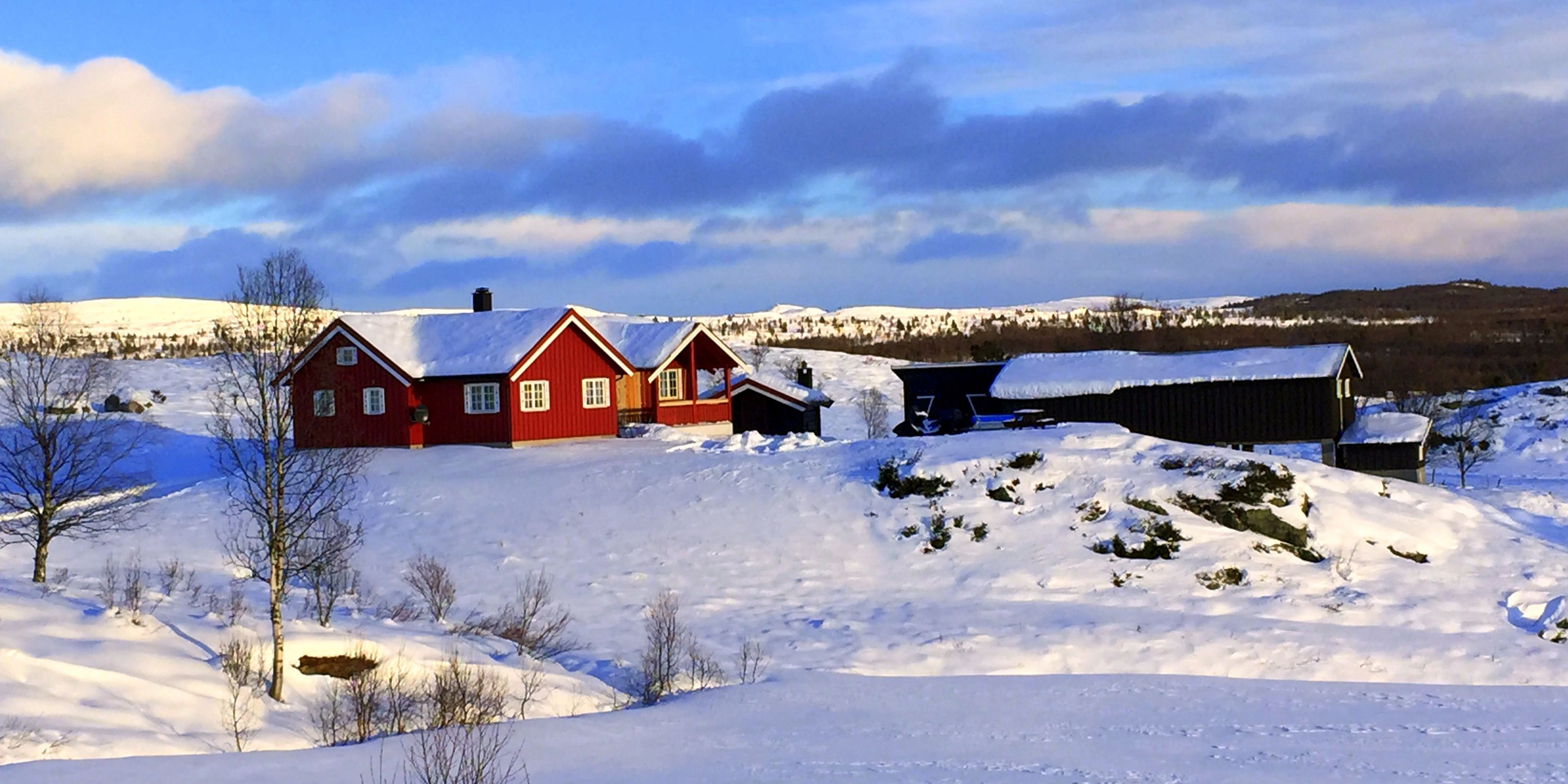 Tormodset om vinteren
