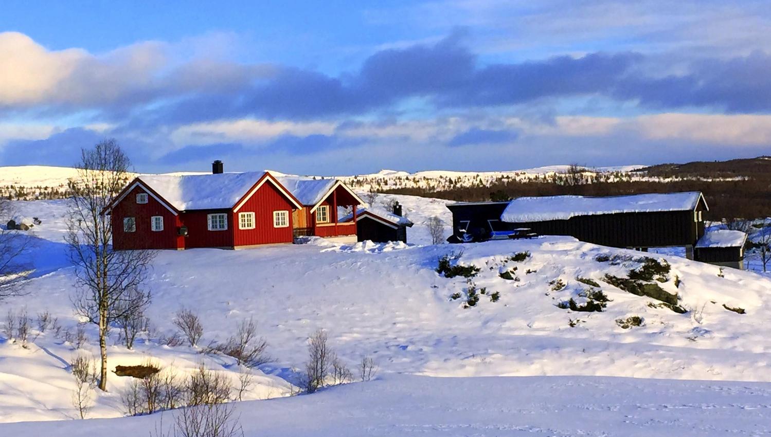 Tormodset om vinteren