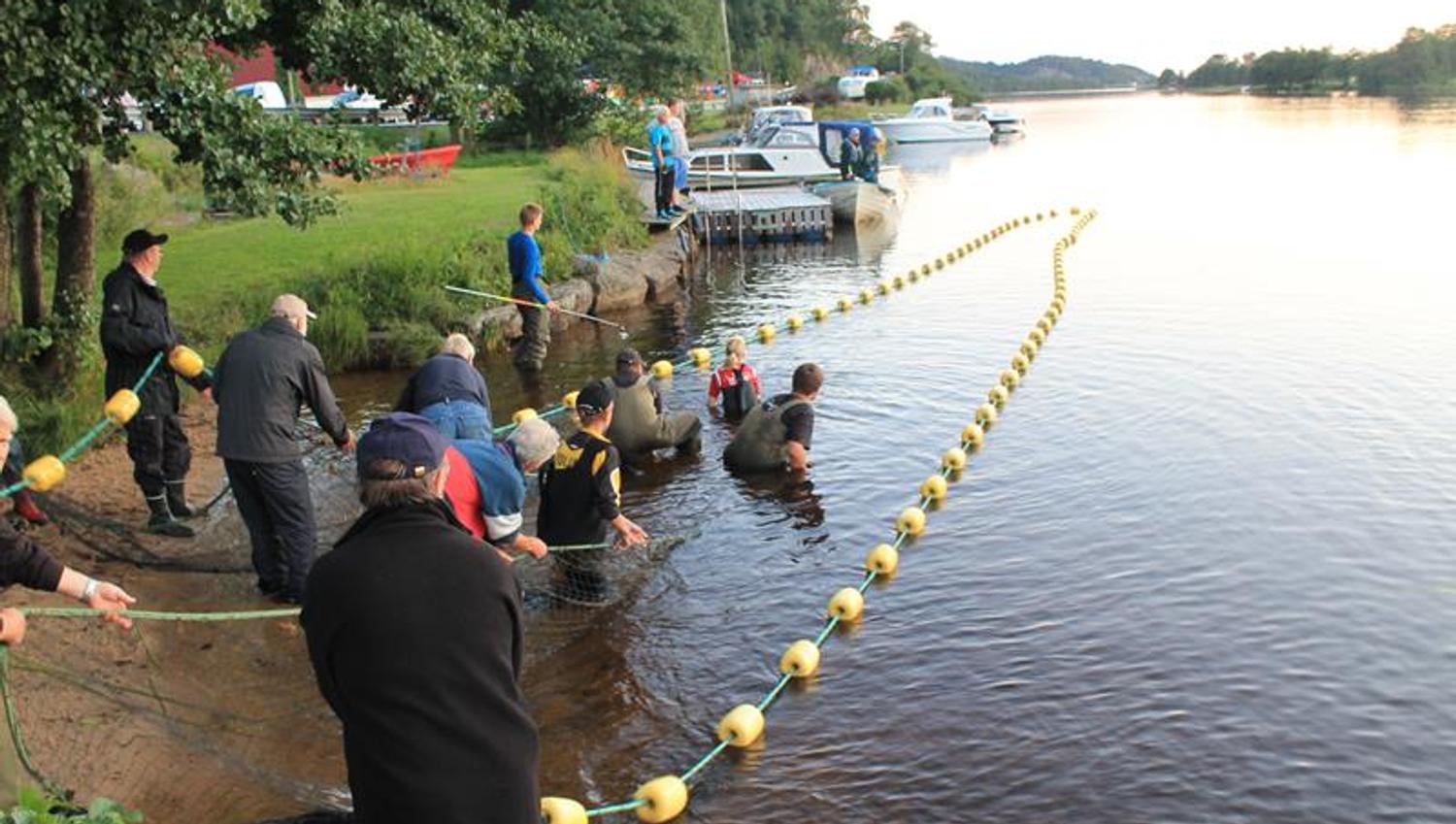 Mange mennesker holder i et garn i vannet og noen i vannet med håv for å fiske