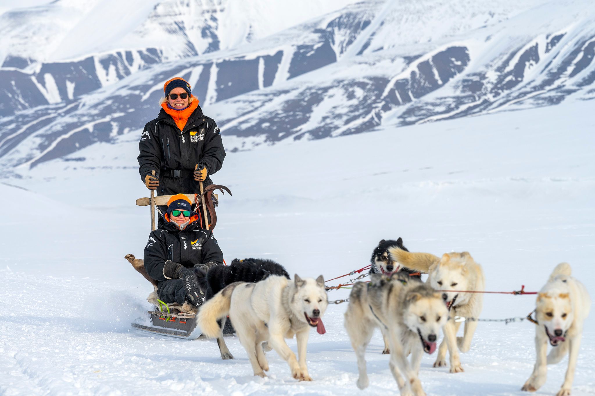 Two guests dog sledding with a team of sled dogs in front of them.
