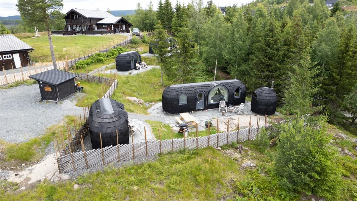  Wooden cabin pods and small buildings arranged in a forested area.