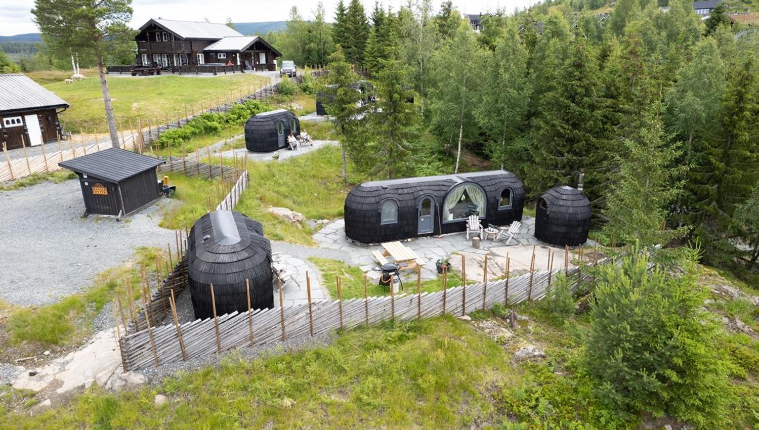 Wooden cabin pods and small buildings arranged in a forested area.