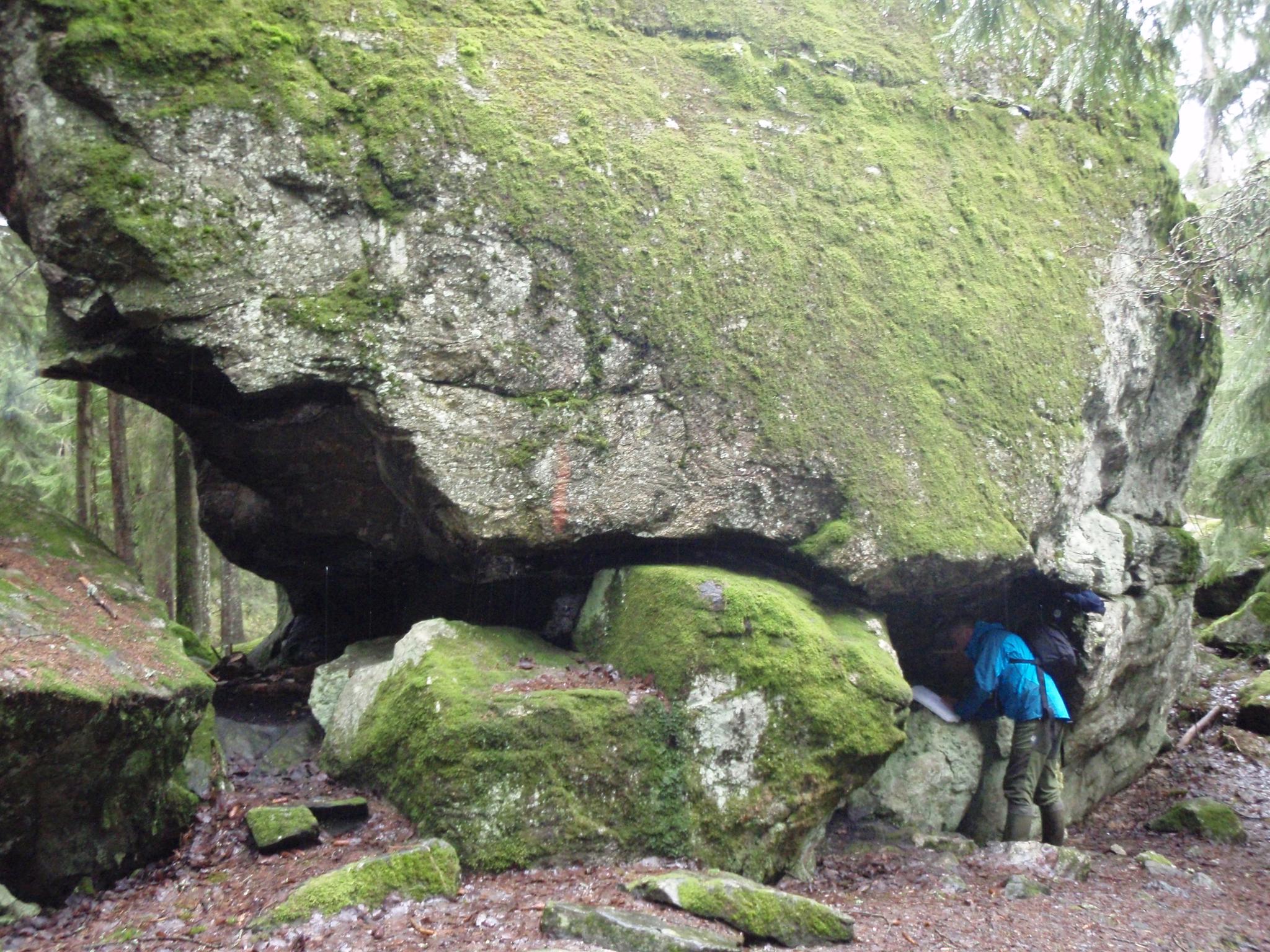 Stor stein i skogen