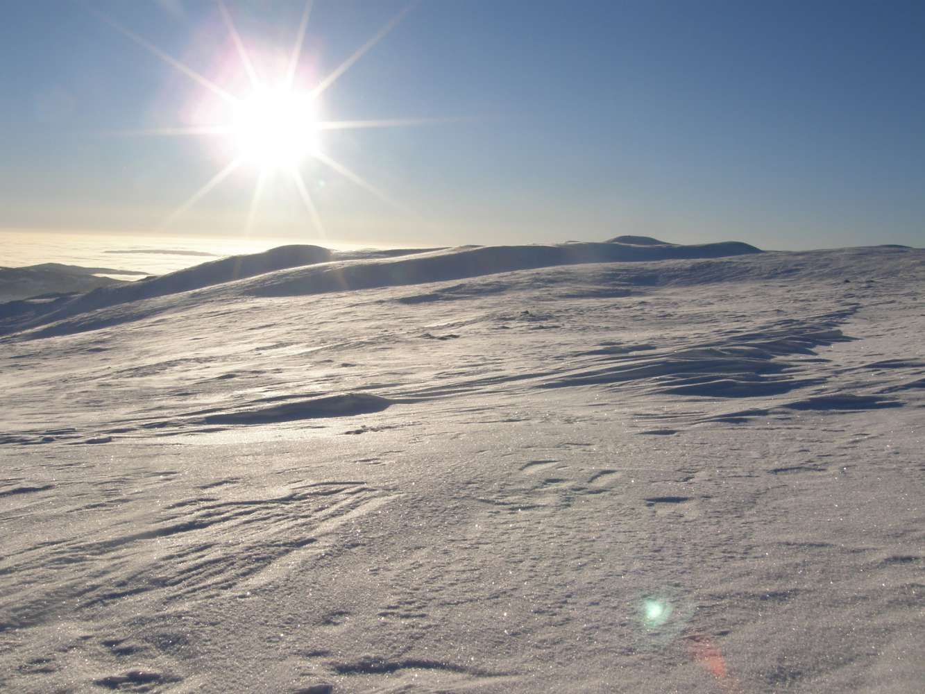 Høgevarde