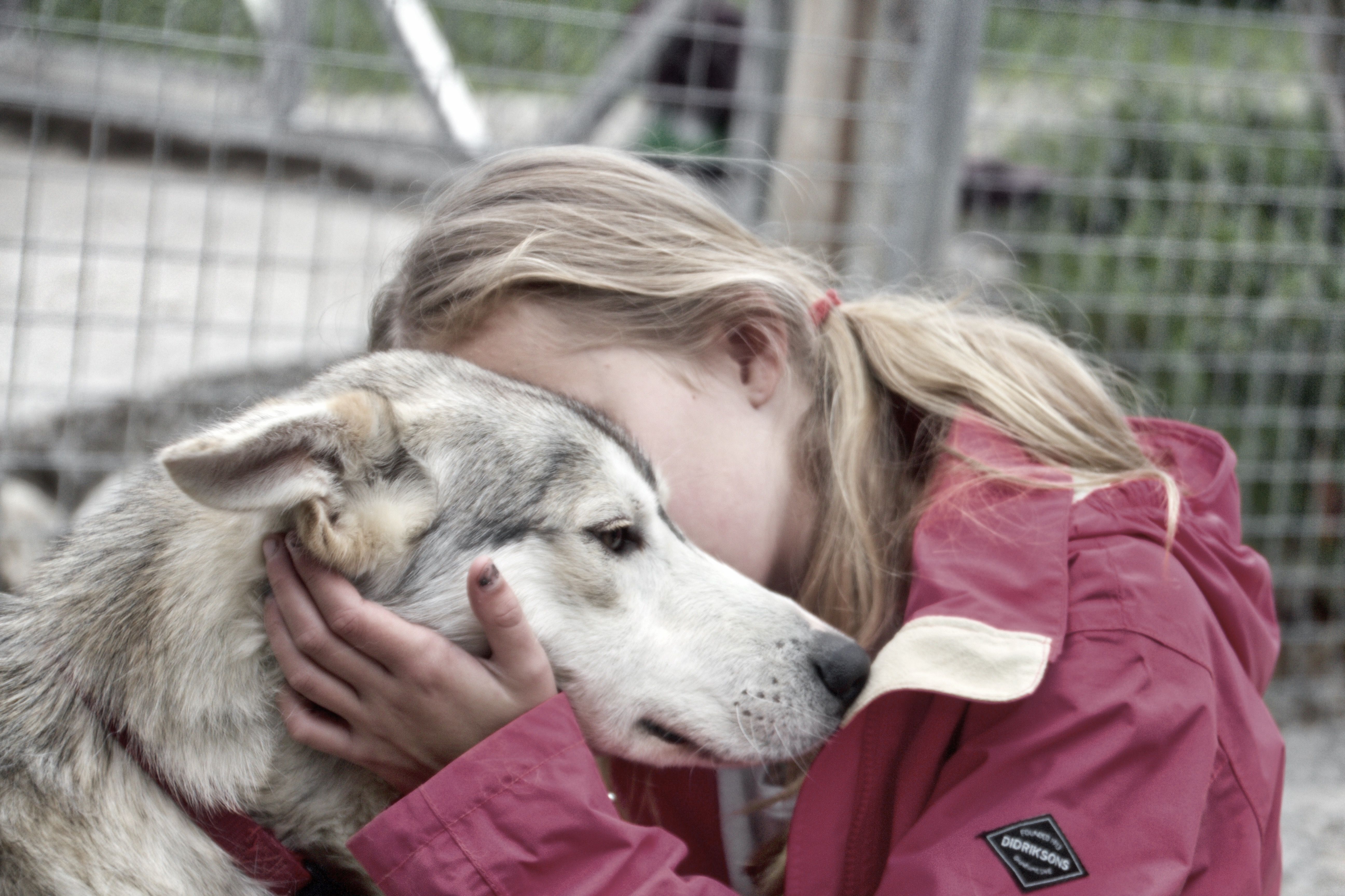 Sirdal Huskyfarm
