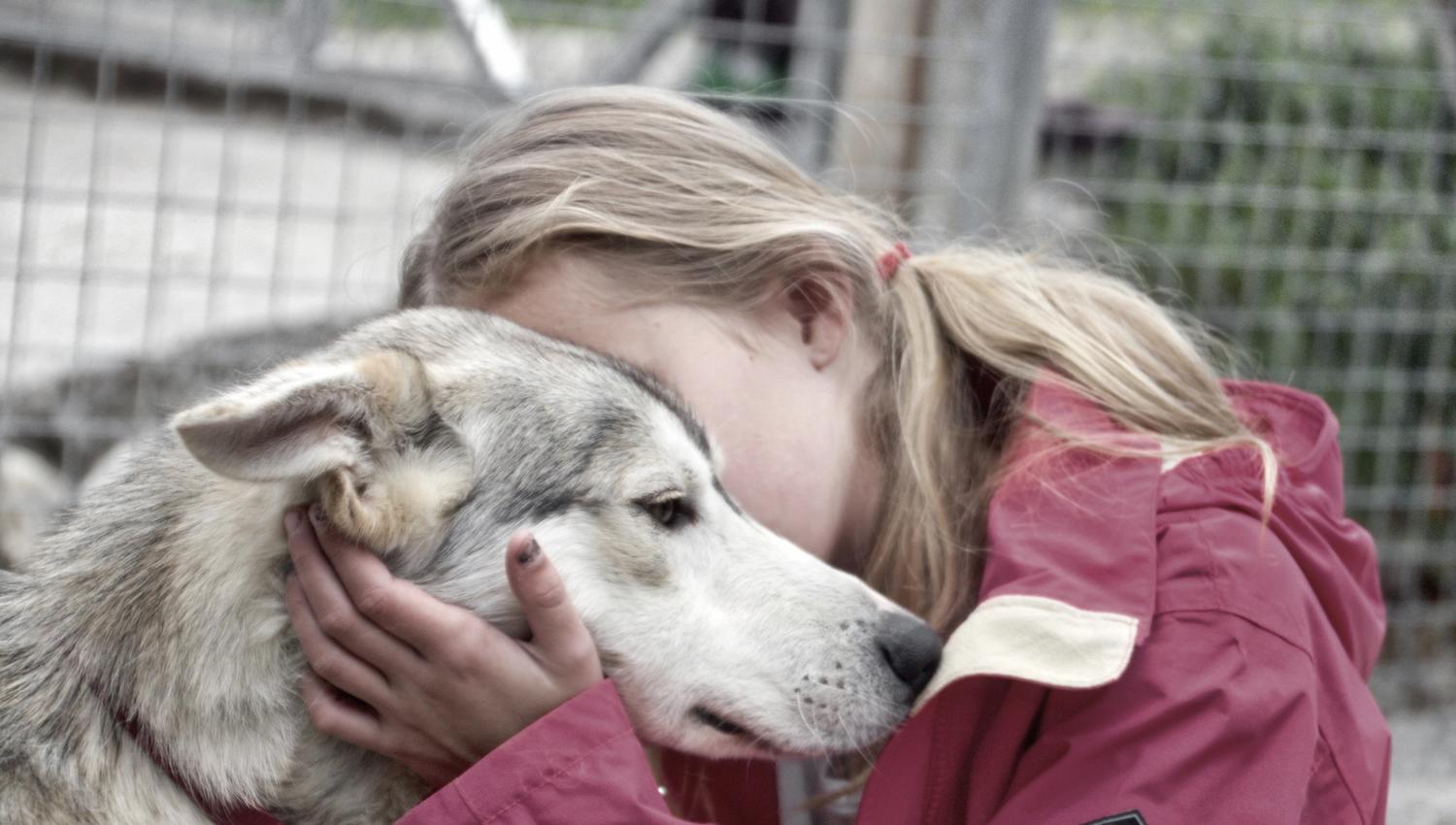 Sirdal Huskyfarm