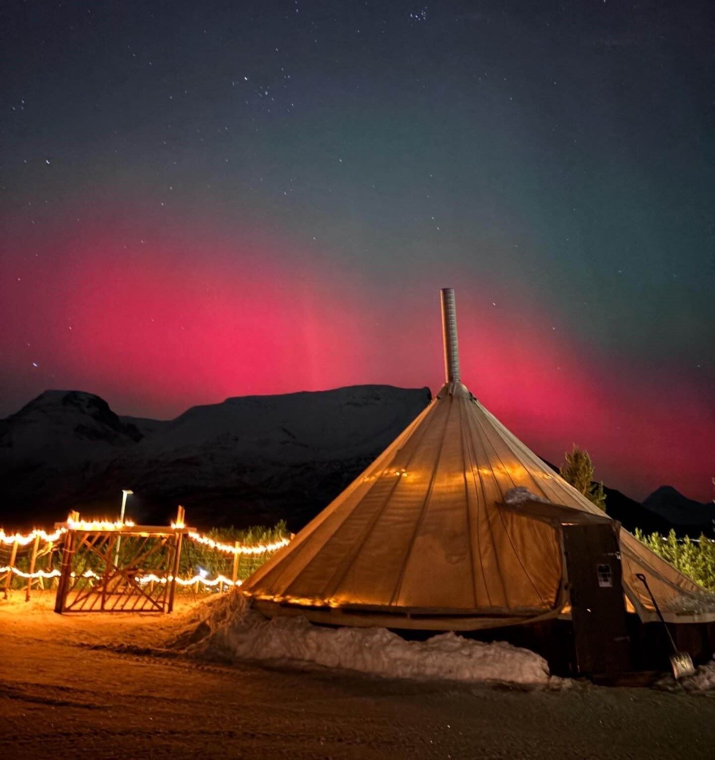 Nordlys over en lavvo i et vinterlandskap