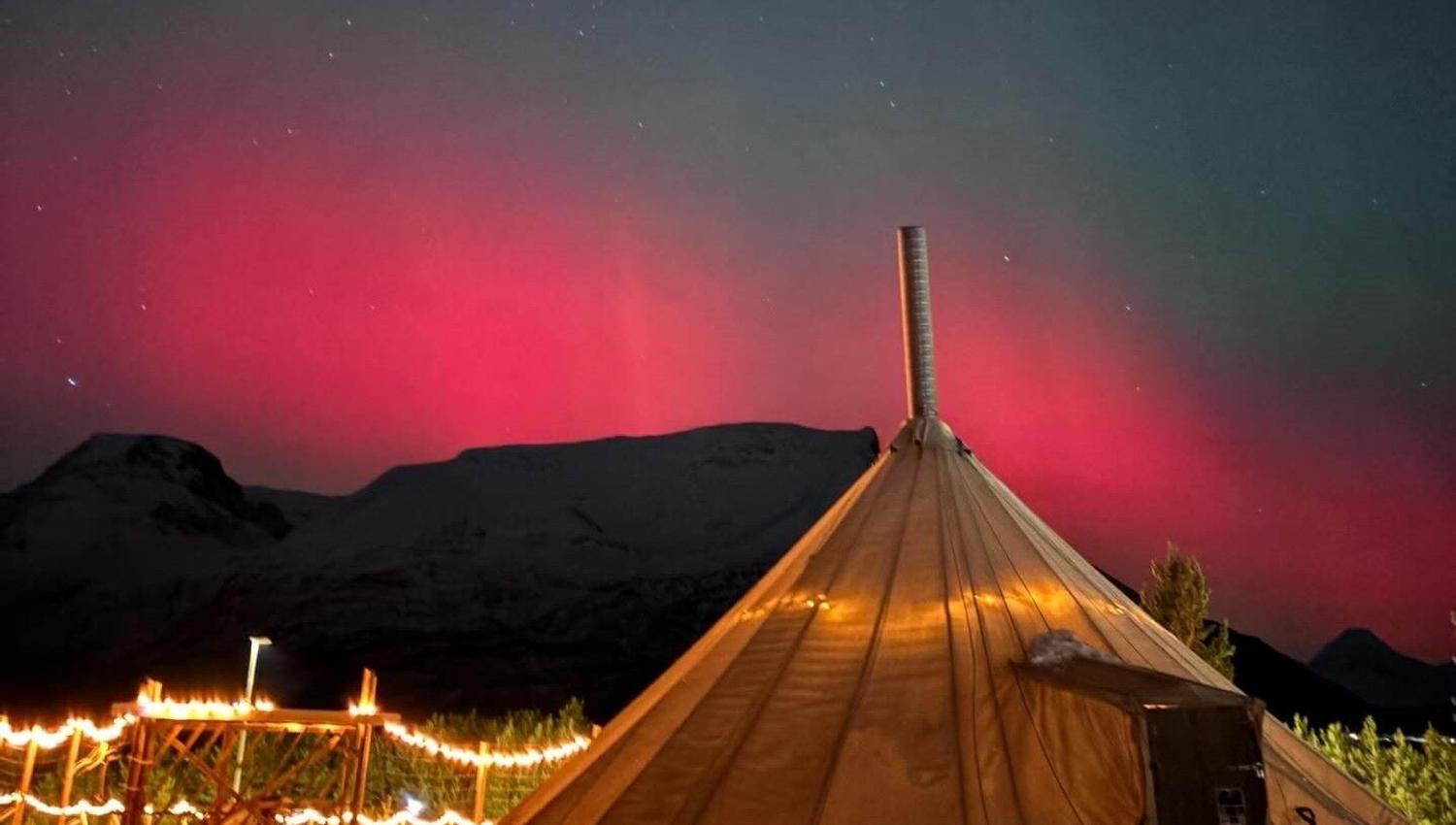 Nordlys over en lavvo i et vinterlandskap