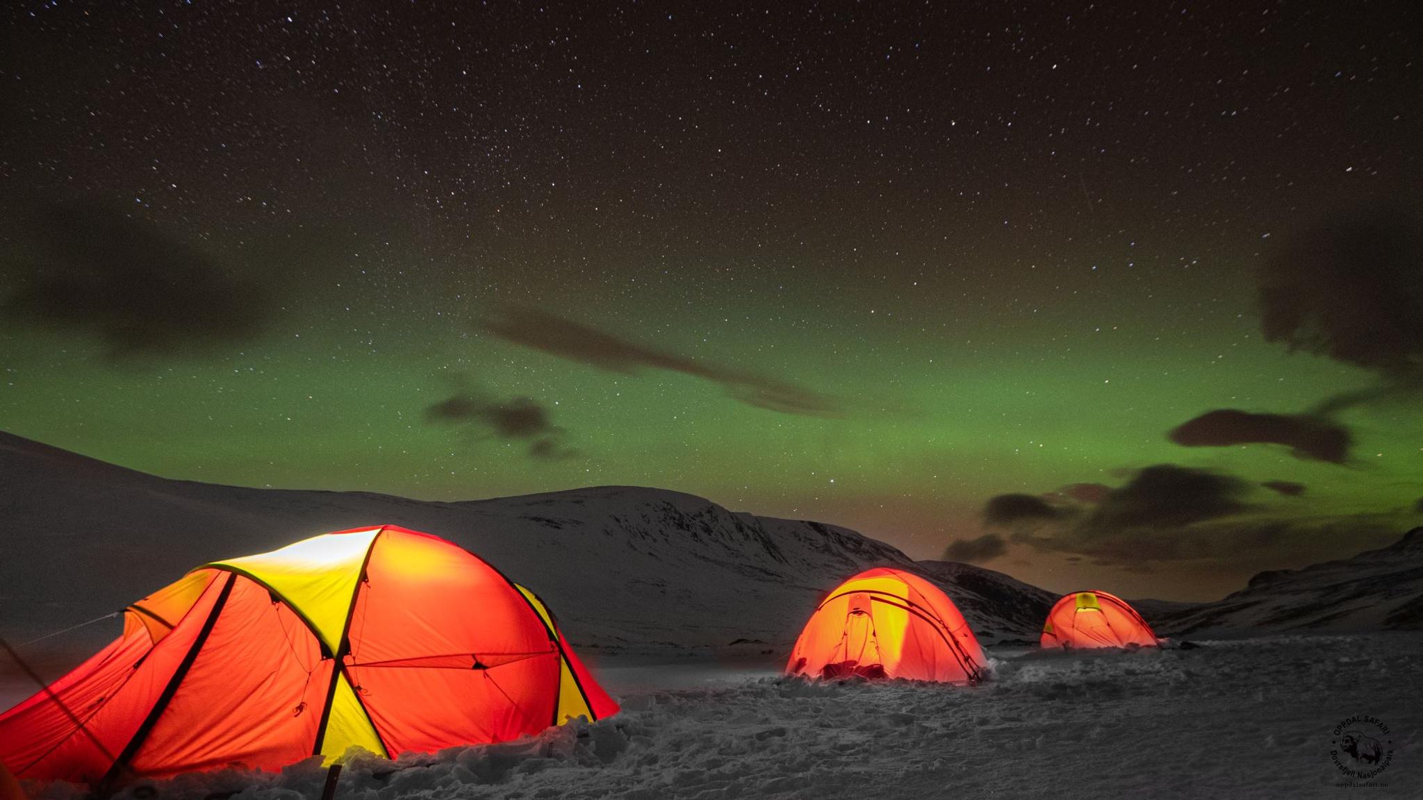 Moskussafari m/personlig guide, 2 dager