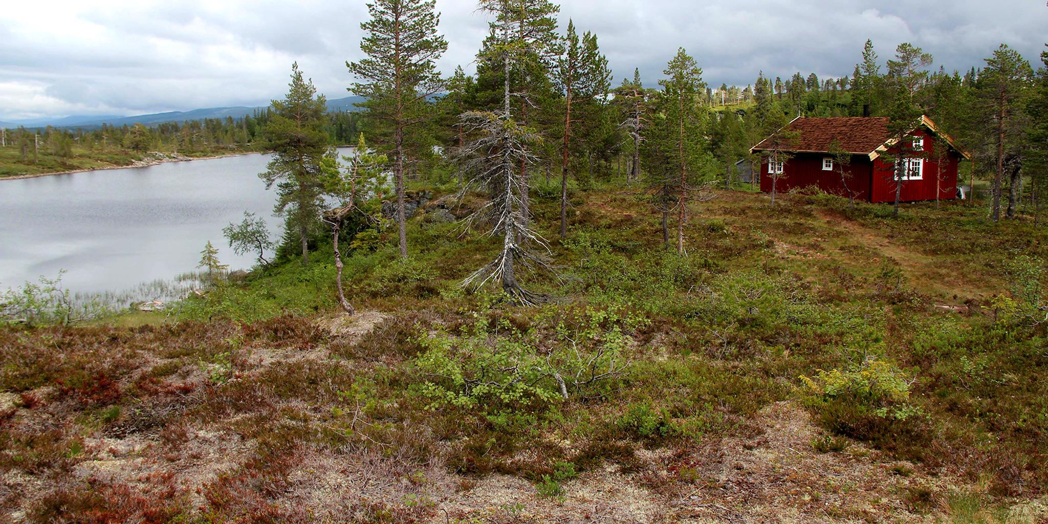 Andorsjøhytta (Snåsa Fjellstyre)