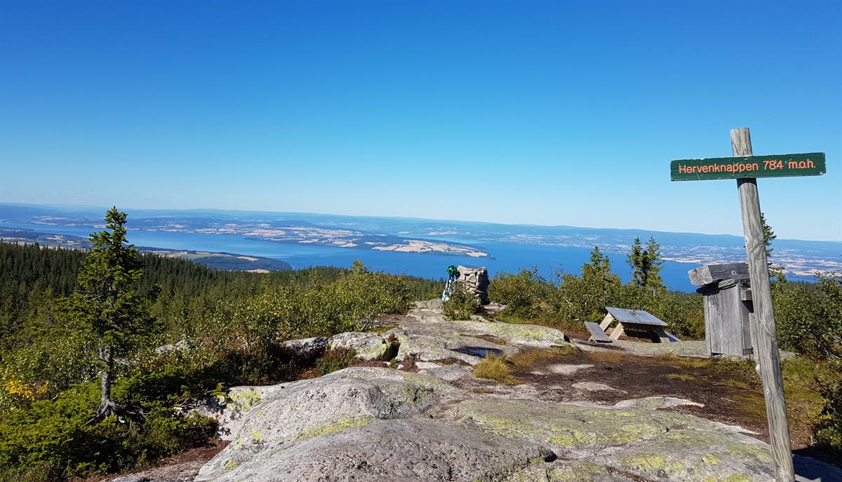 Hervenknappen nær Evjua Strandpark 1