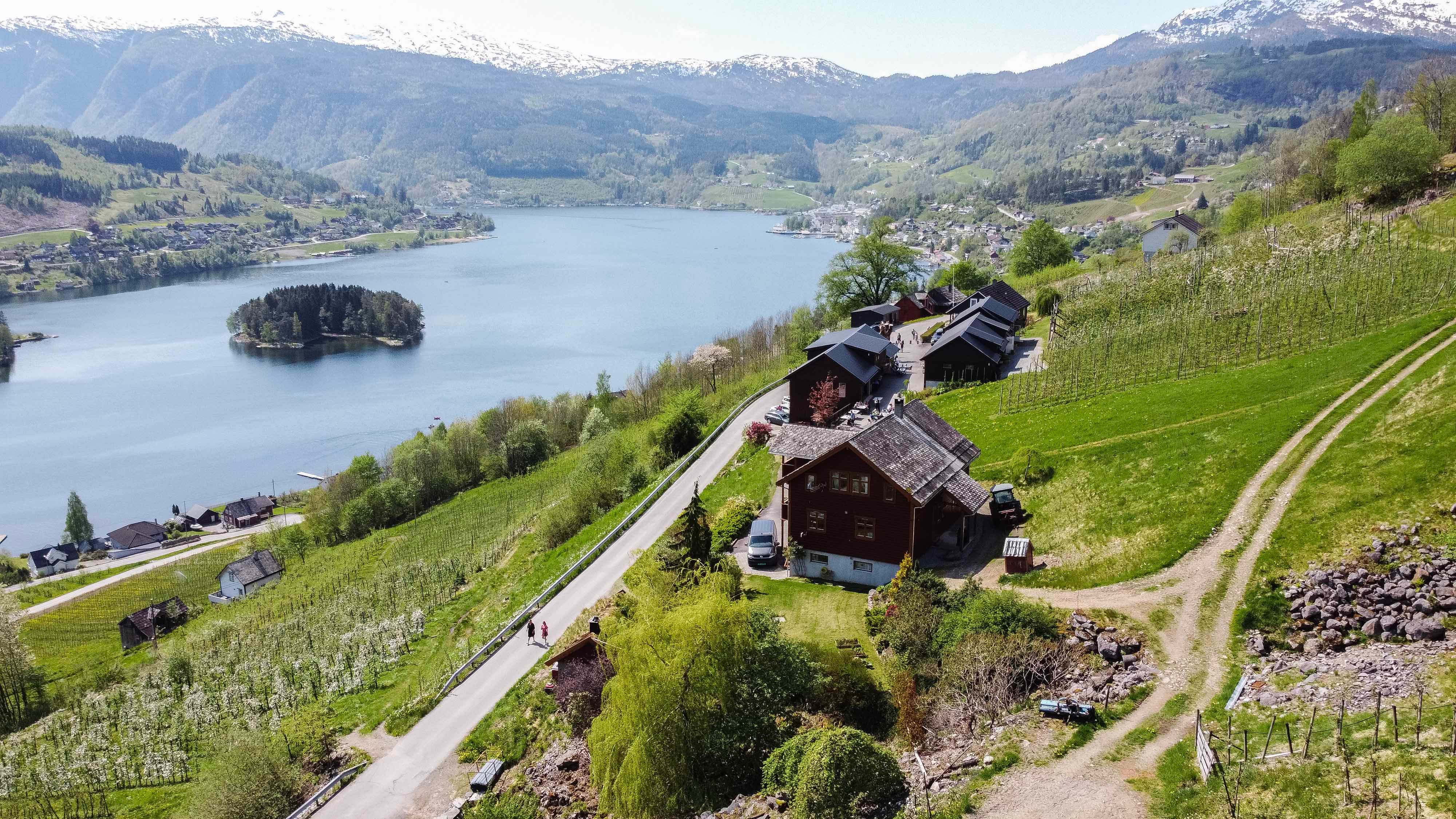 Dronefoto av Syse Gard, omkransa av frukthagar og fjordlandskap i Hardanger.