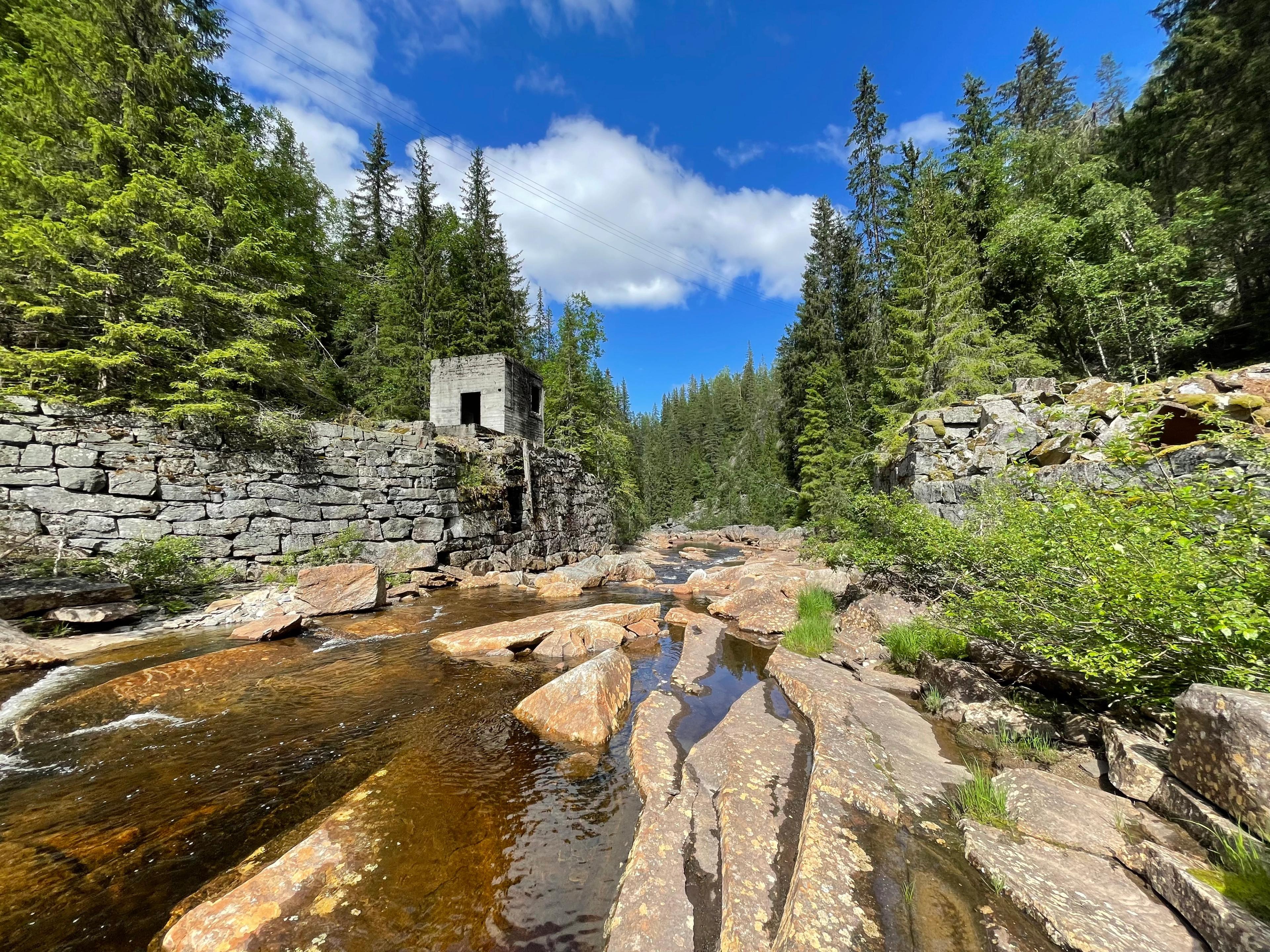 Bilde 11.07.2021, 15 29 05