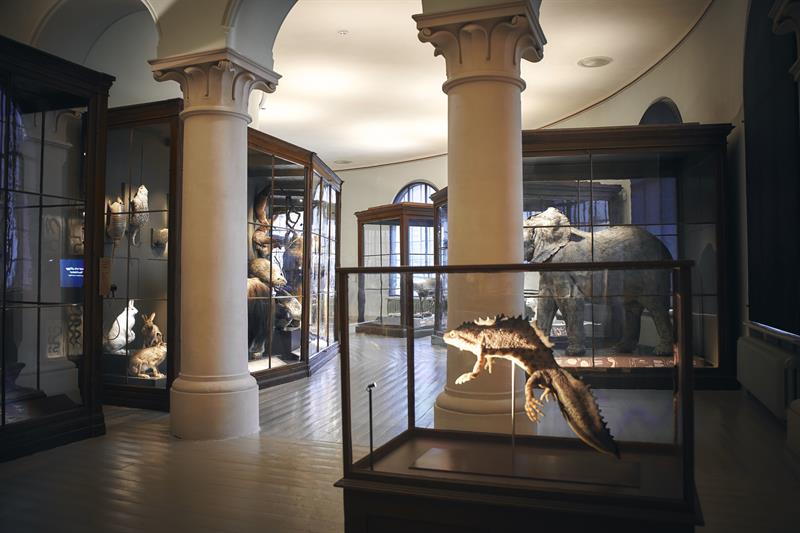 Universitetsmuseet i Bergen