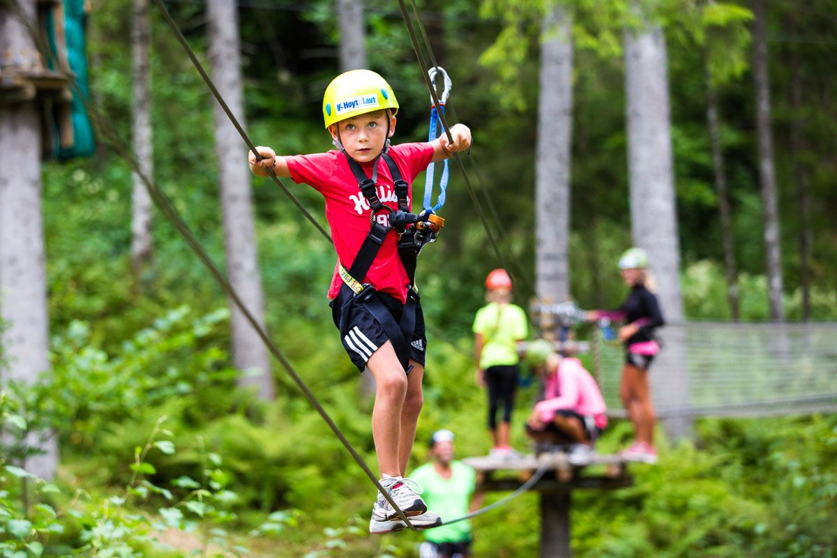 children climbing in the climbing park High and Low in Bø in Telemark 