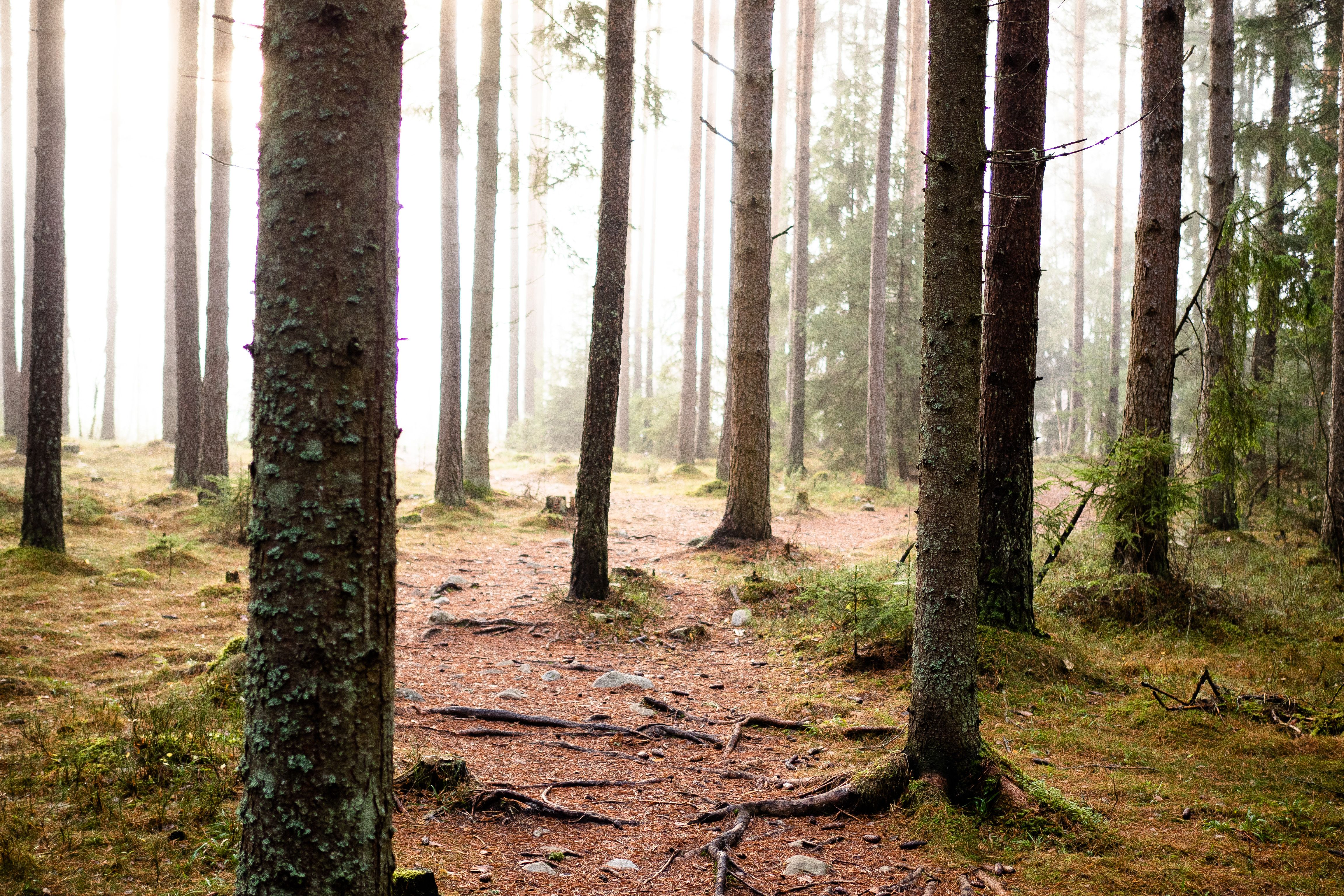 HRU-Ilsengstiene-006