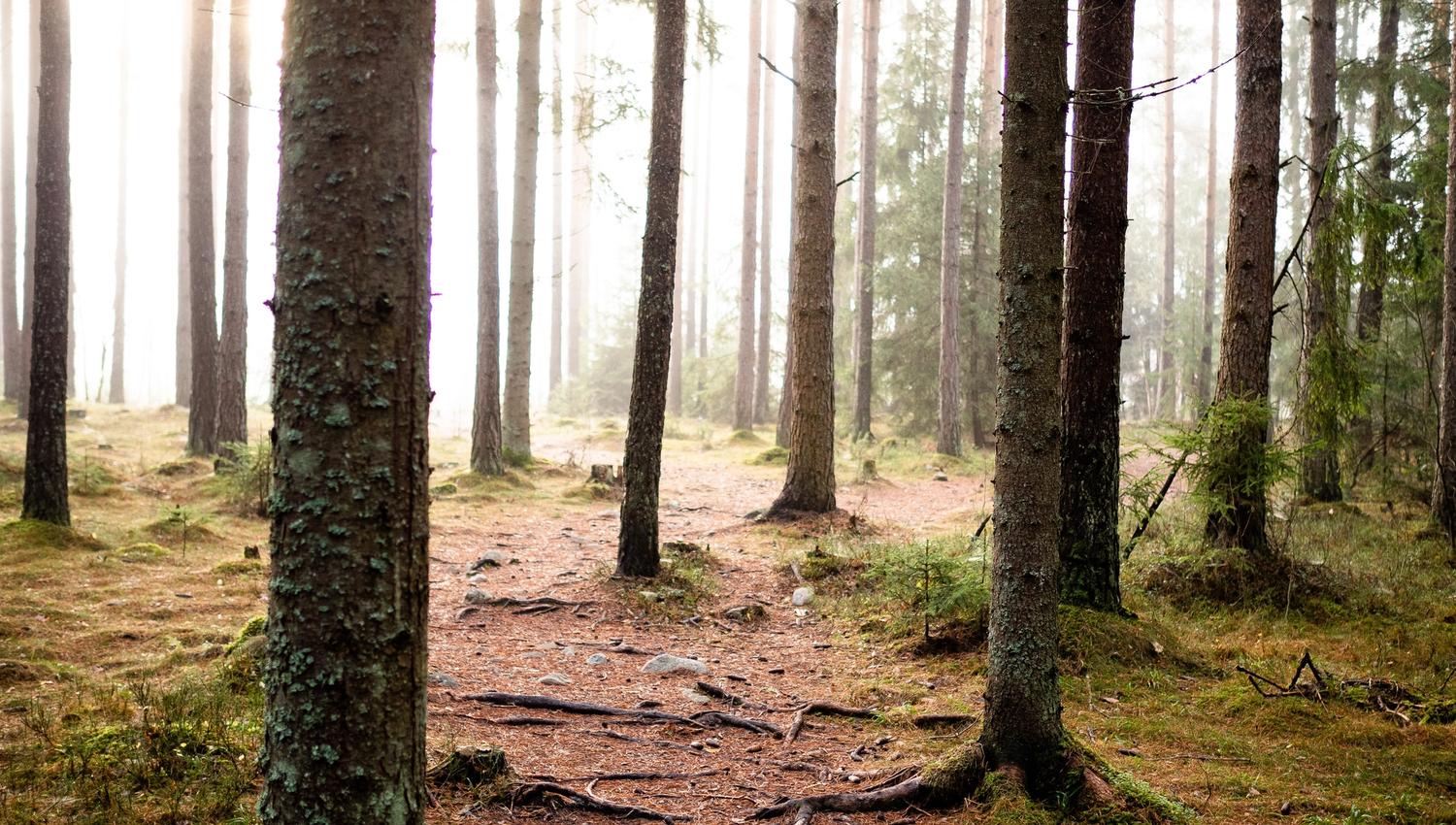 HRU-Ilsengstiene-006