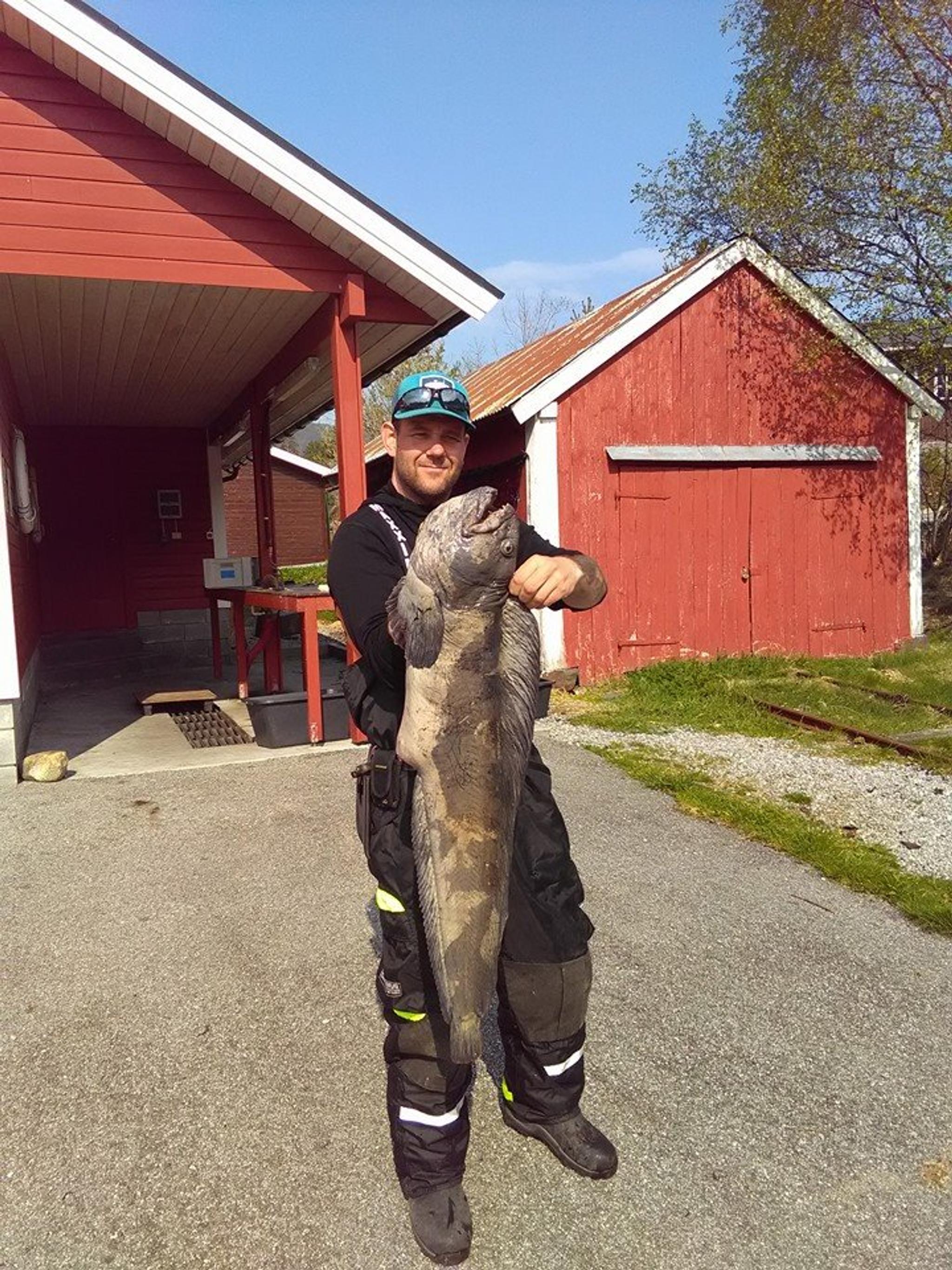 Saltkjelsnes Camping