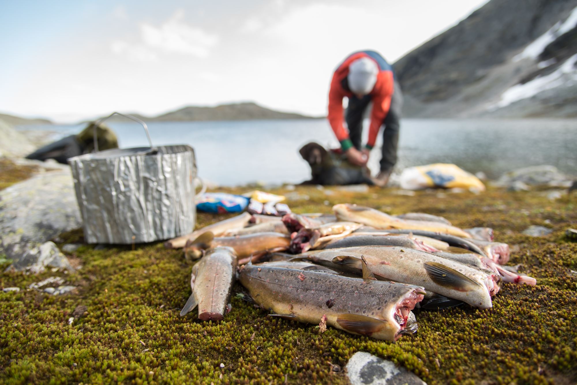 Fisketur med personlig guide