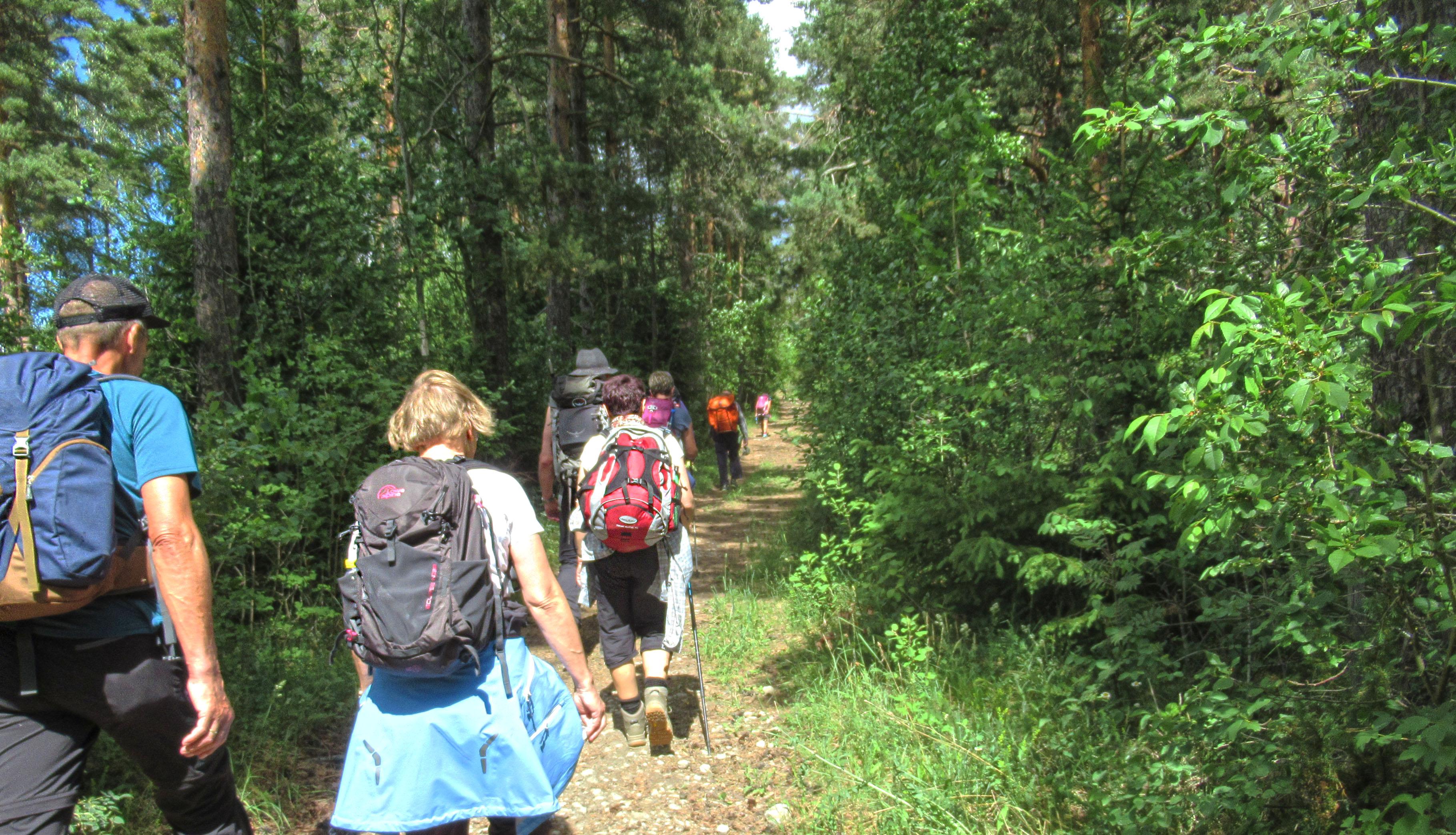 Pilegrimsleden gjennom Ringerike 2