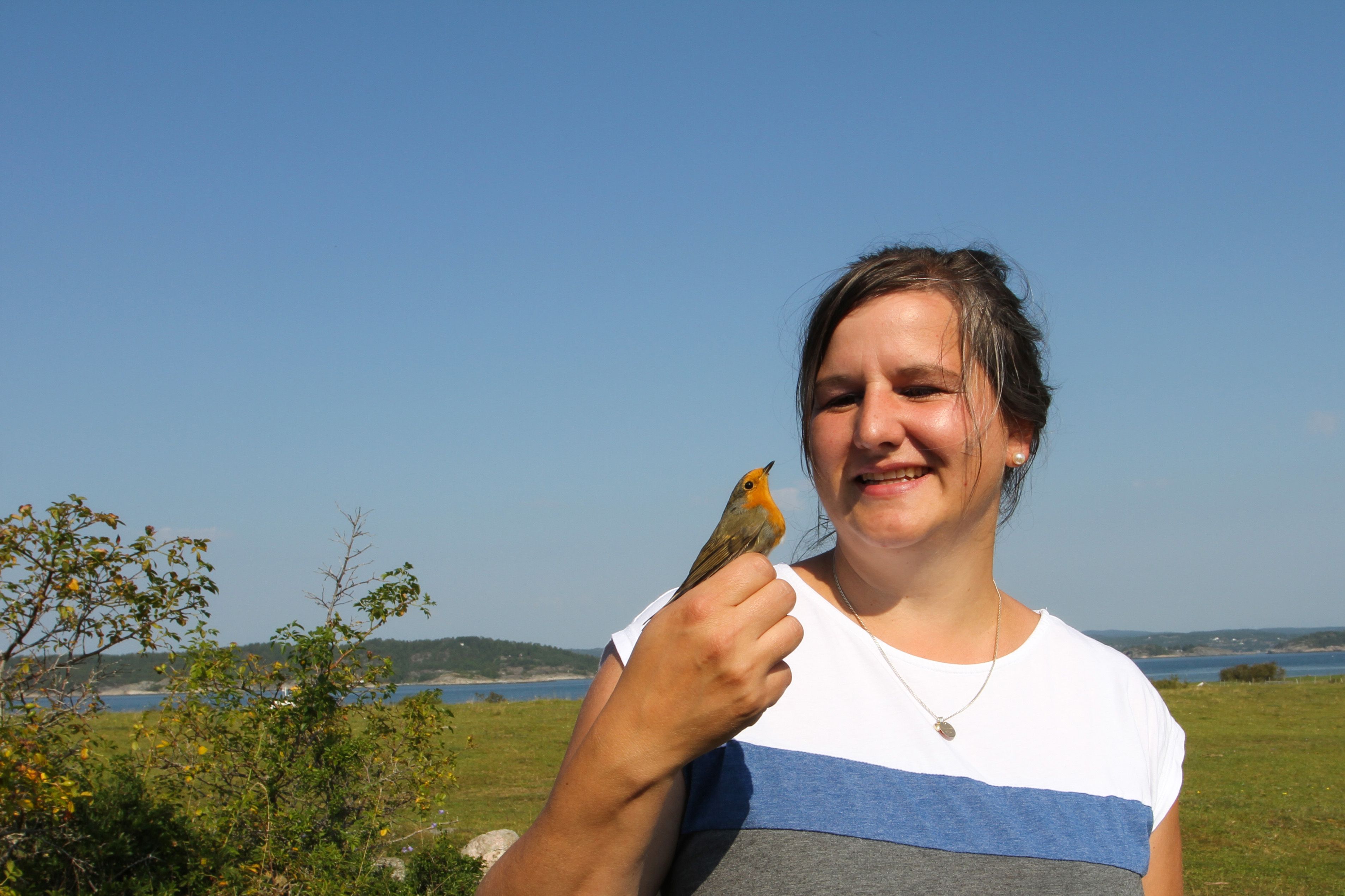 Jomfruland fuglestasjon